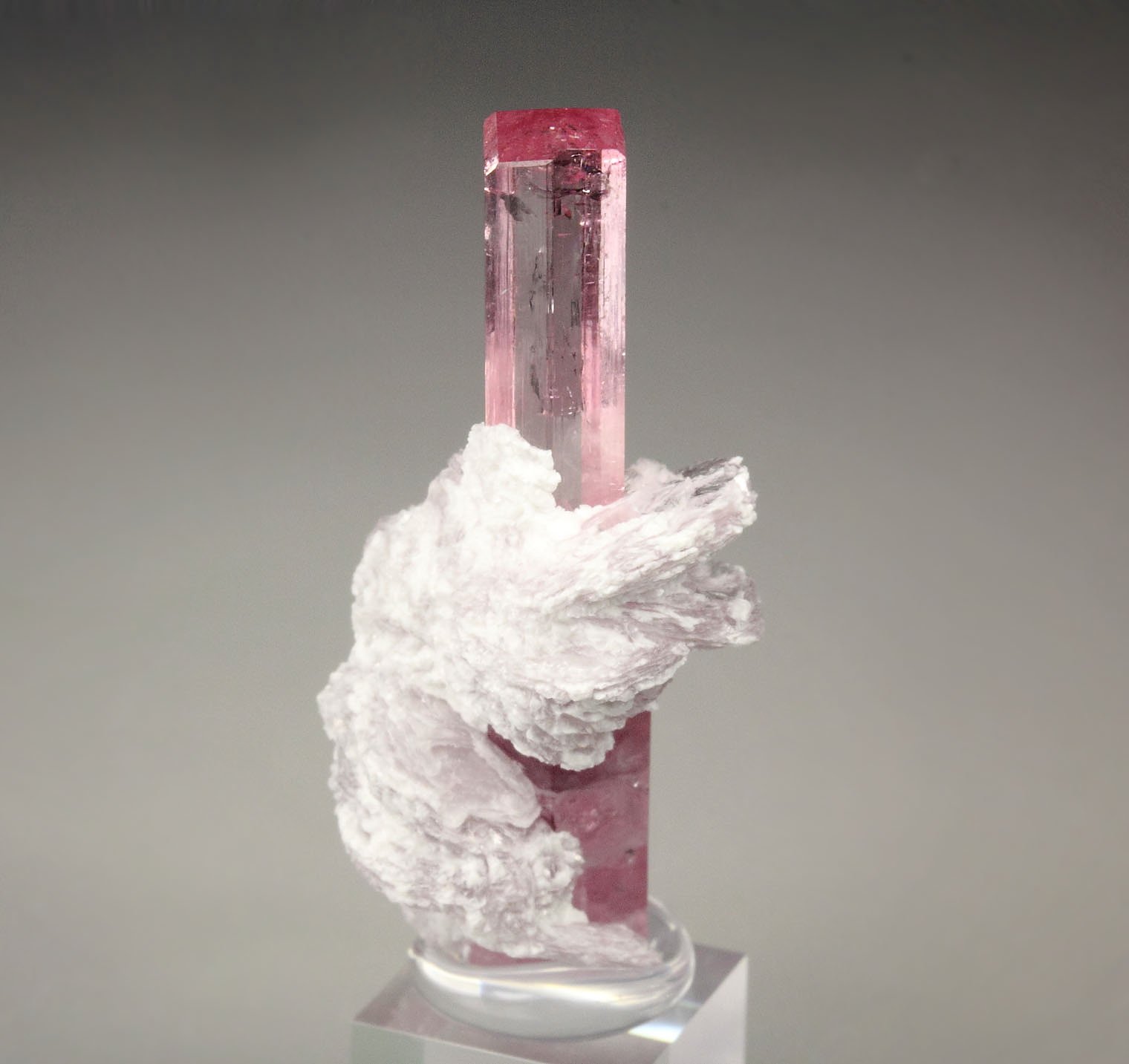 gem TOURMALINE var. ELBAITE, LEPIDOLITE