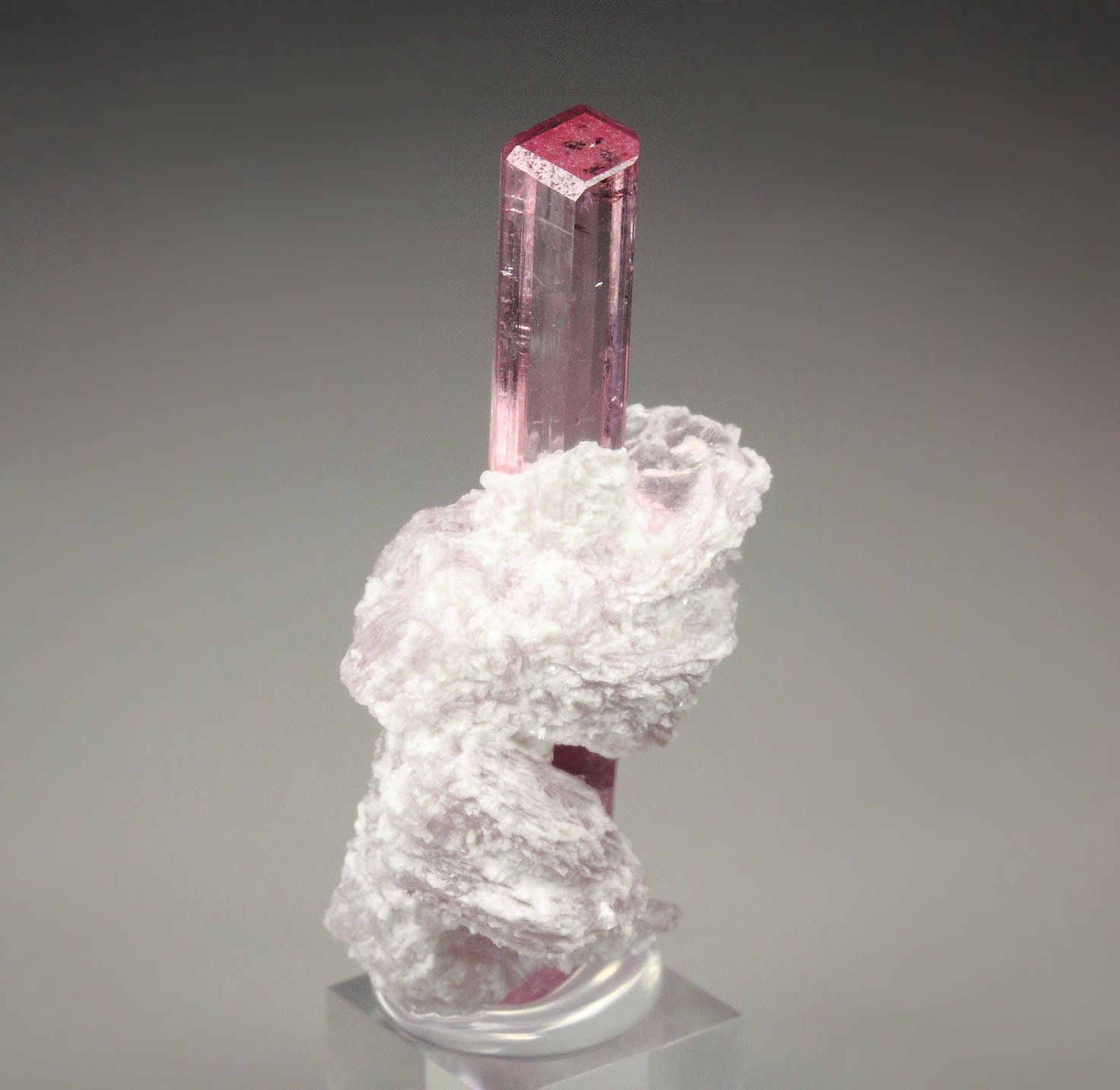 gem TOURMALINE var. ELBAITE, LEPIDOLITE