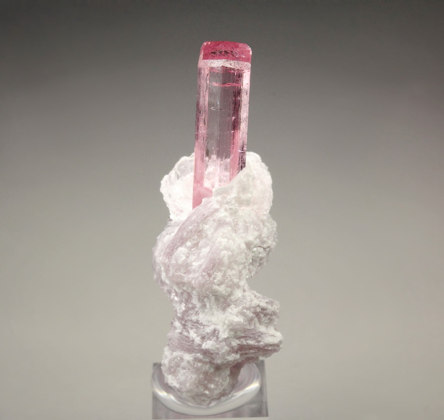 gem TOURMALINE var. ELBAITE, LEPIDOLITE