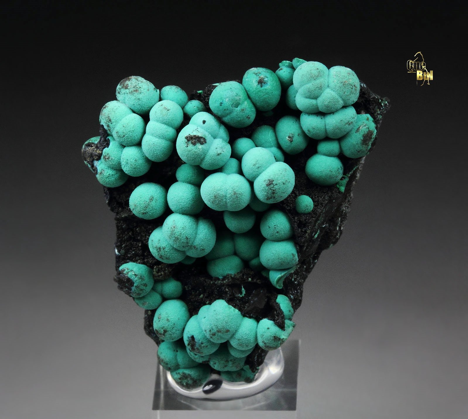 CHRYSOCOLLA