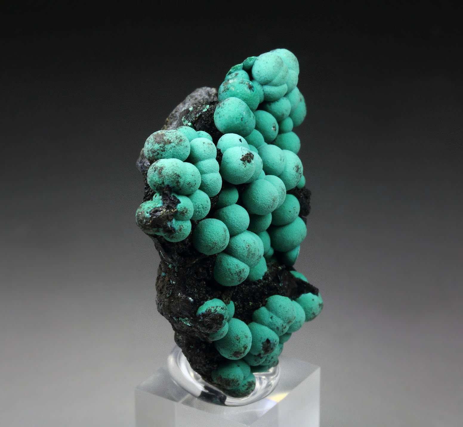 CHRYSOCOLLA