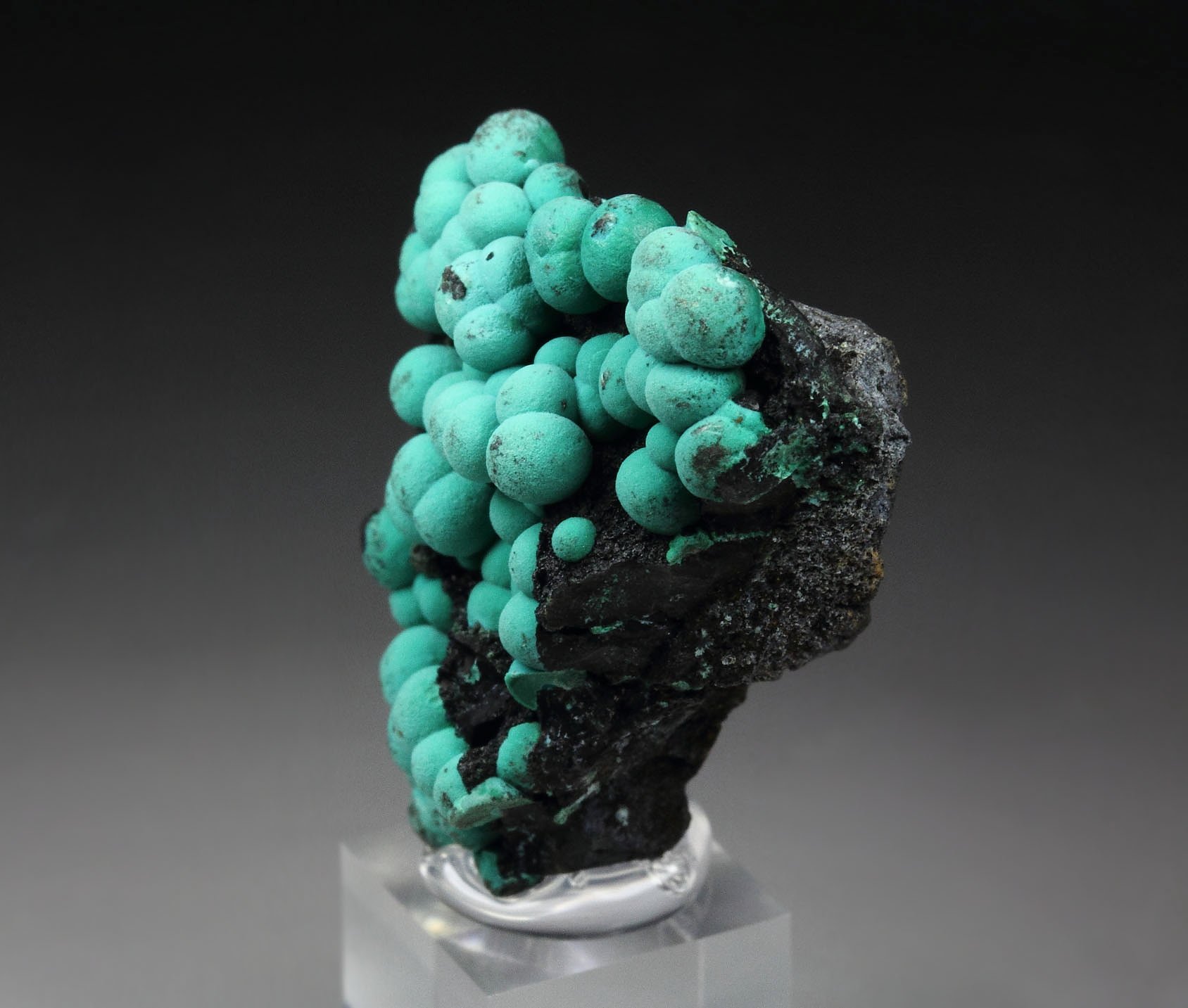 CHRYSOCOLLA