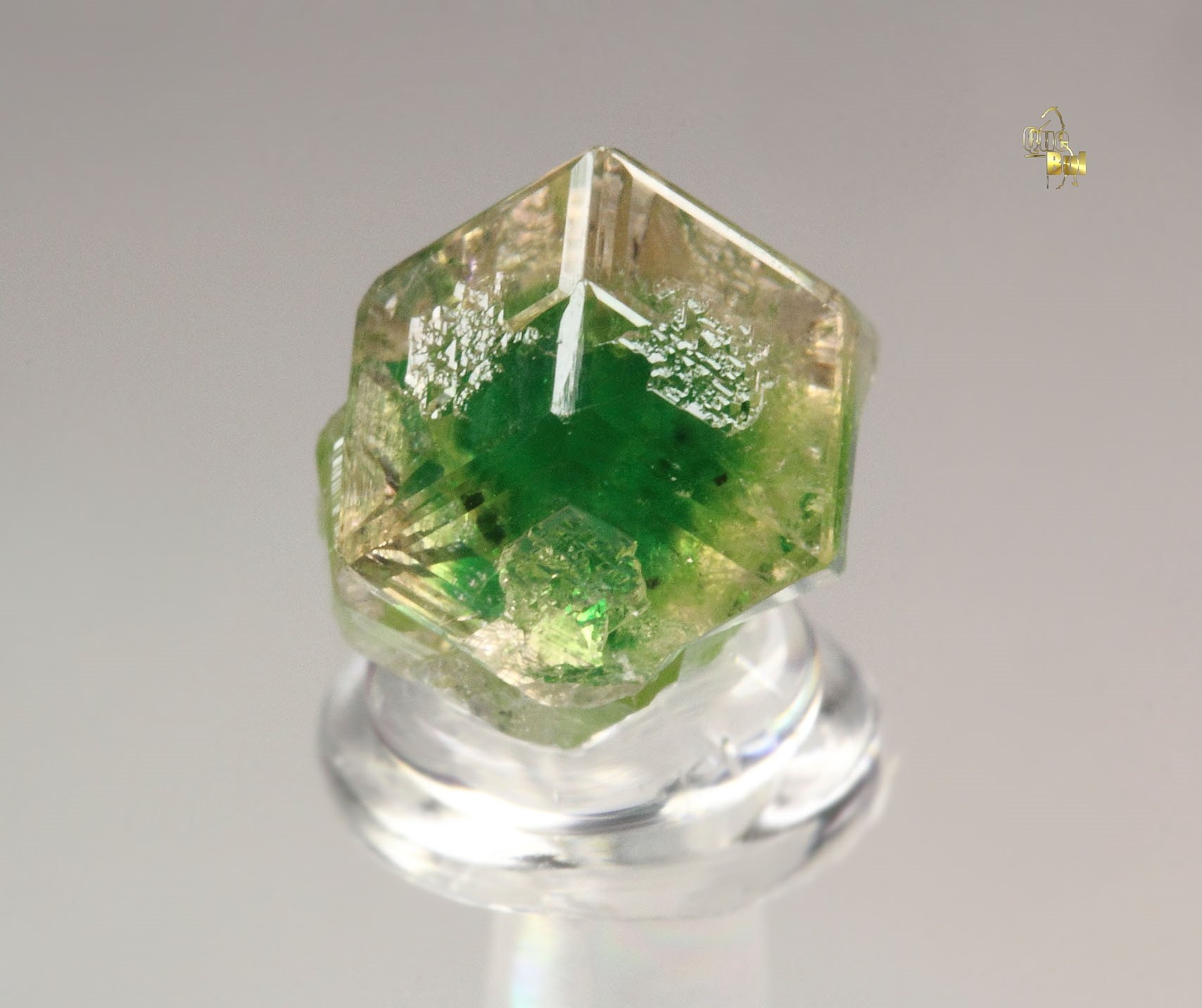 gem GARNET var. GROSSULAR with GREEN CHROMIAN PHANTOM