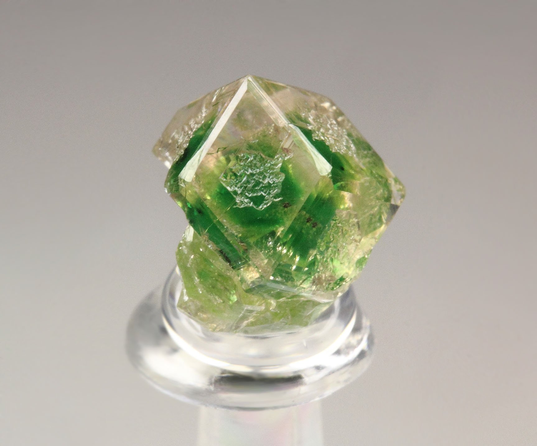 gem GARNET var. GROSSULAR with GREEN CHROMIAN PHANTOM