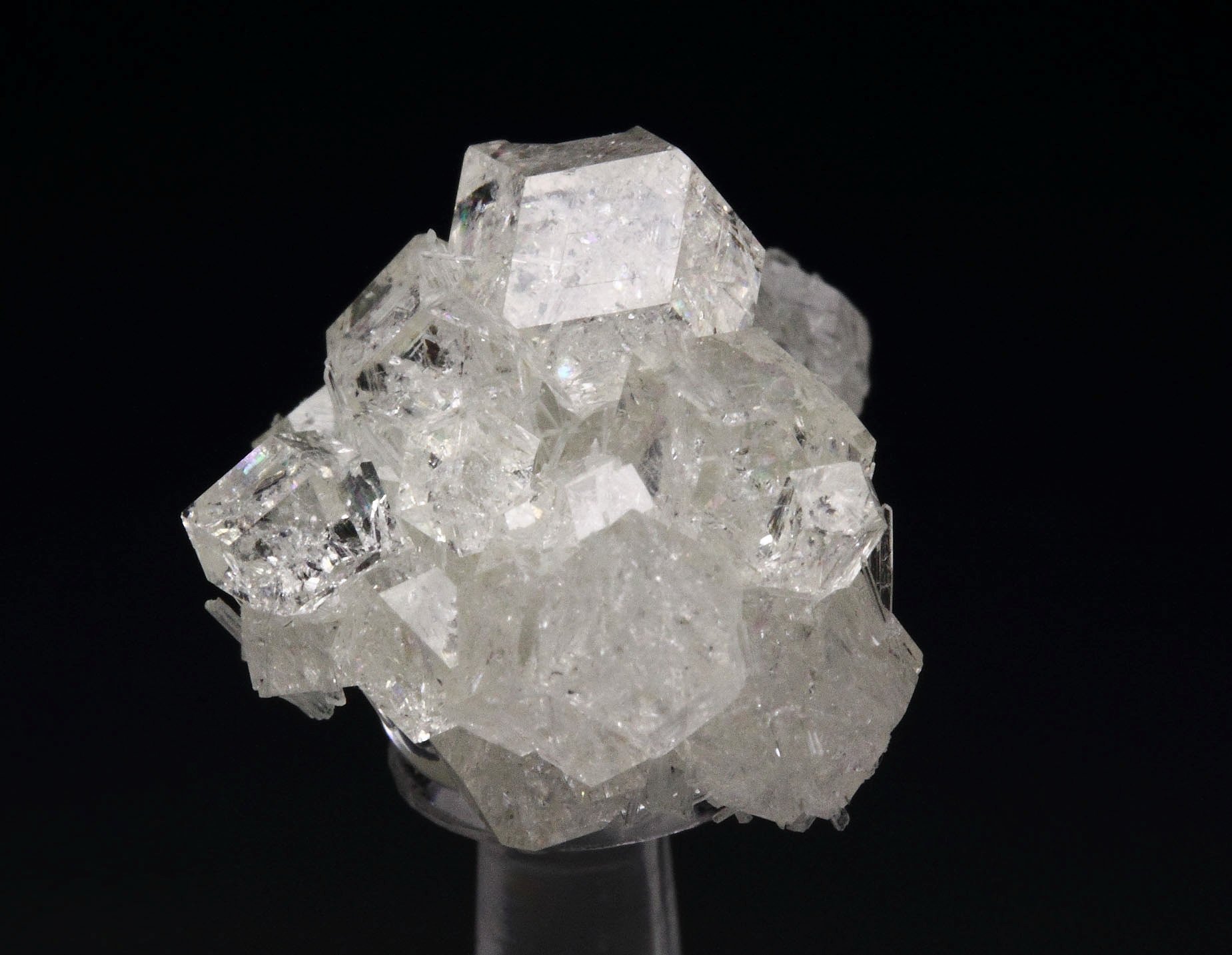 colorless gem GARNET var. GROSSULAR, DIOPSIDE