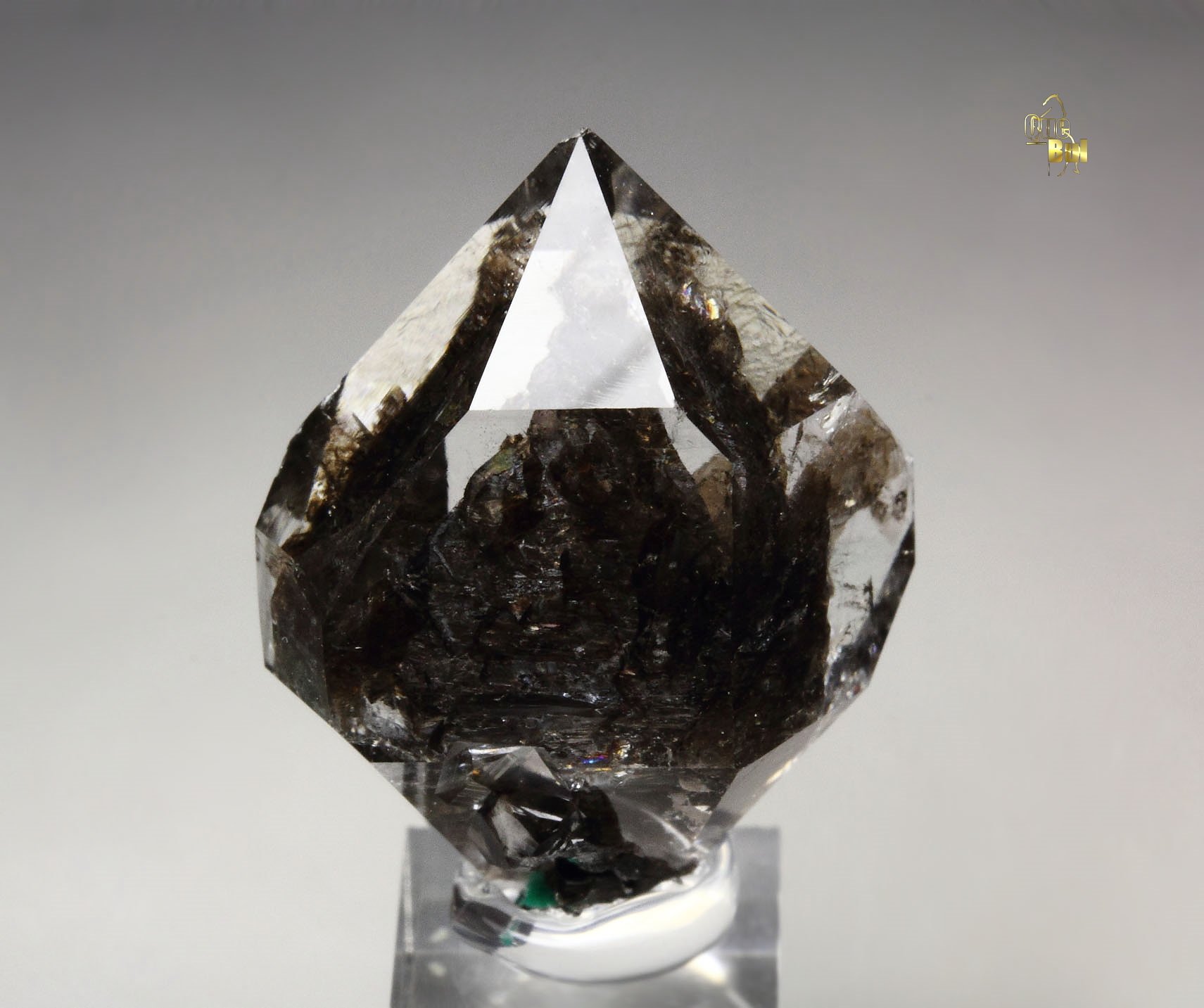 QUARTZ with bitumen inclusions