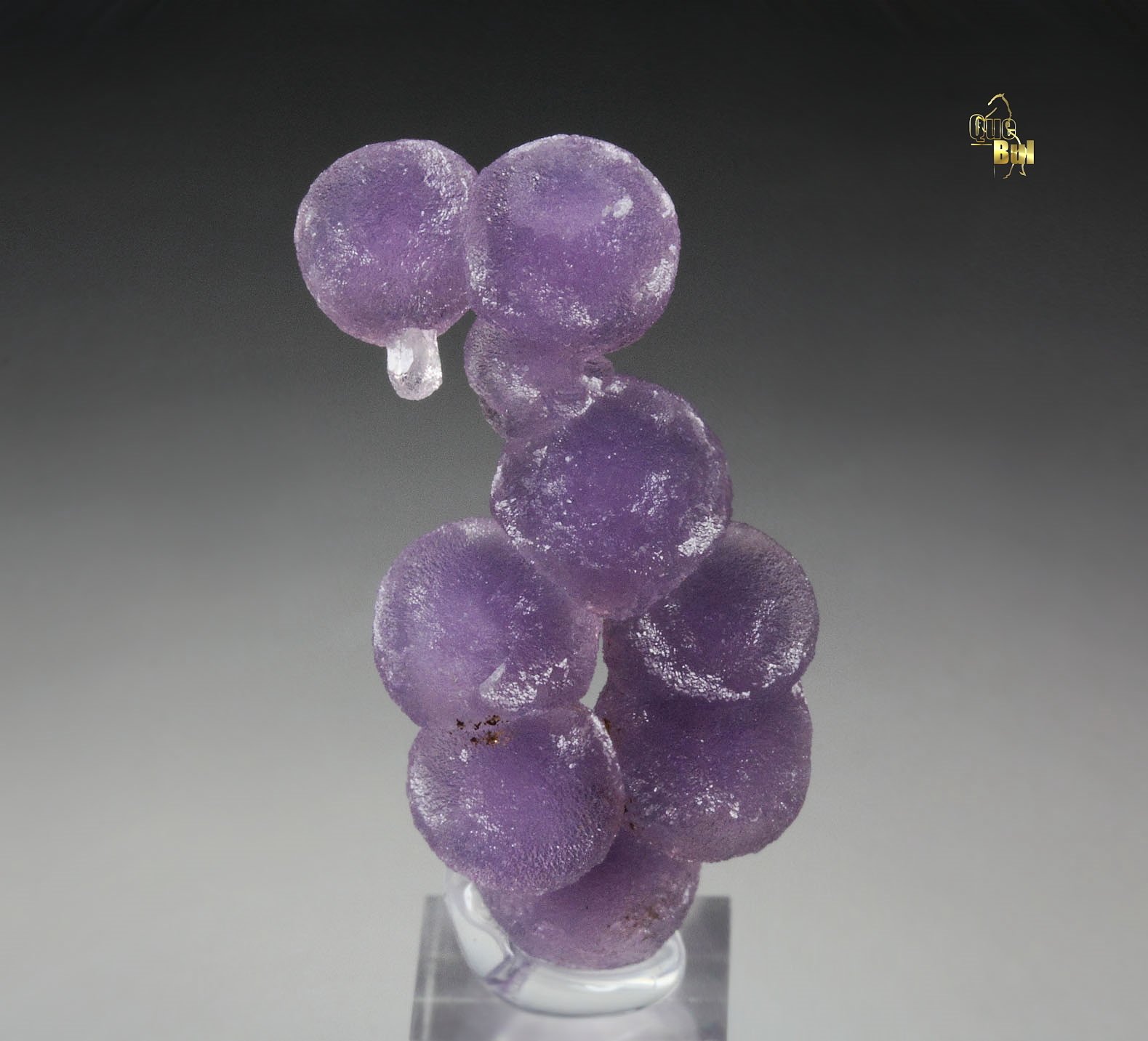 QUARTZ var. AMETHYST - grape agate