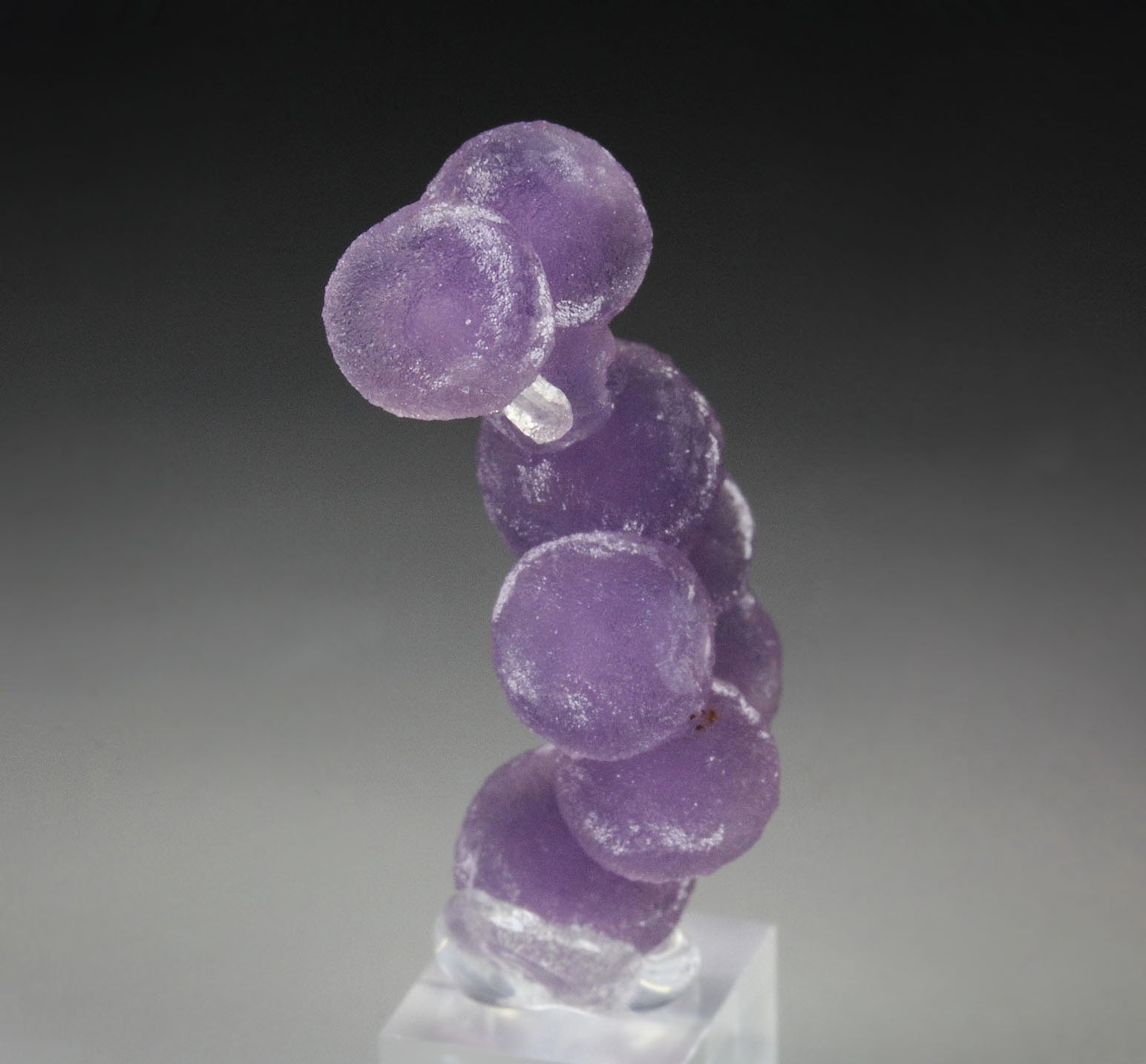 QUARTZ var. AMETHYST - grape agate