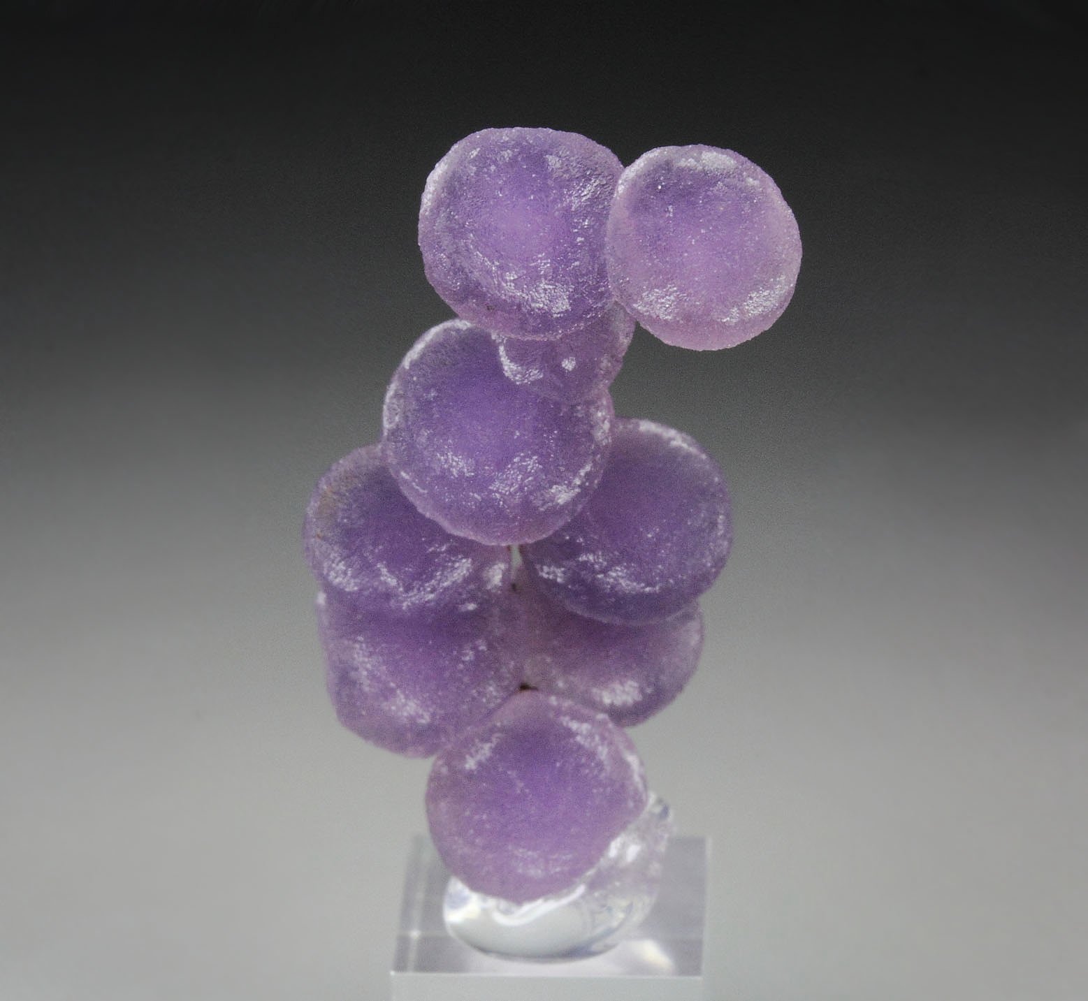 QUARTZ var. AMETHYST - grape agate