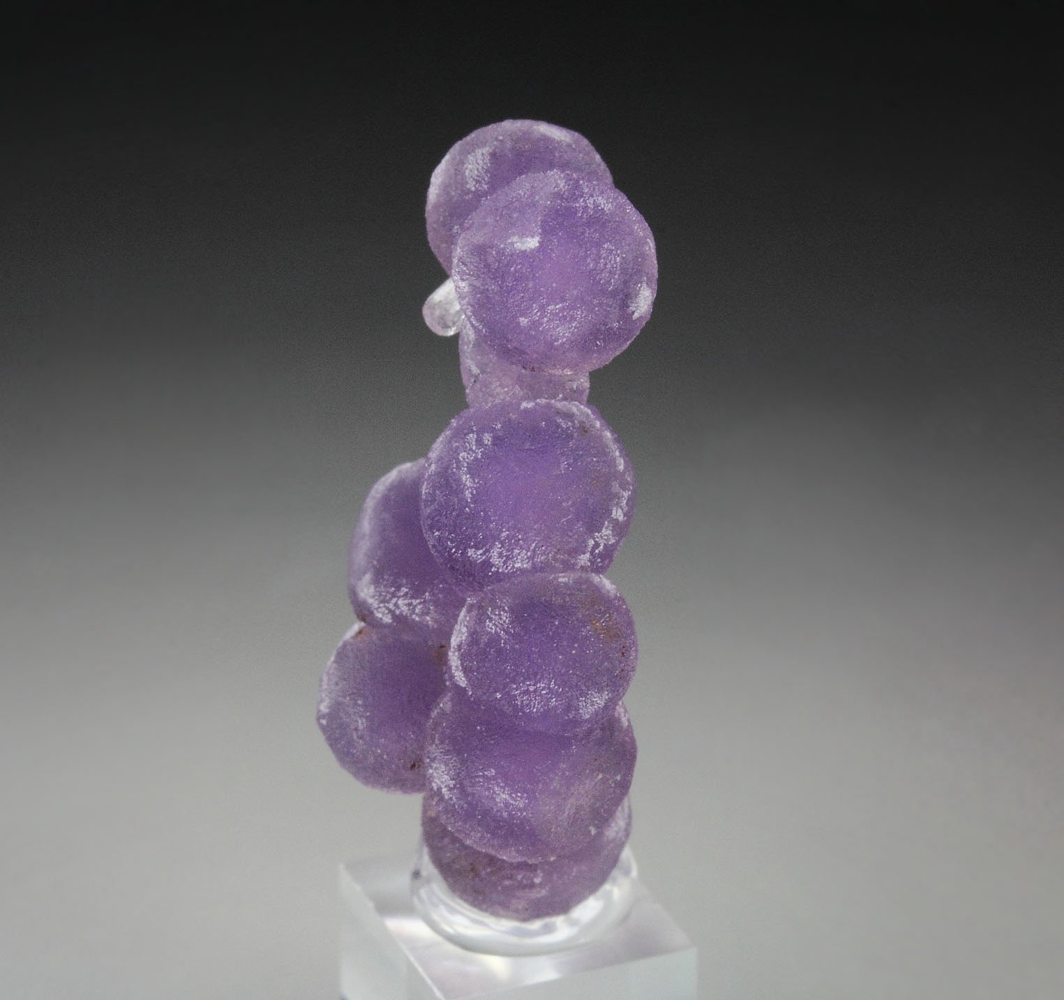 QUARTZ var. AMETHYST - grape agate