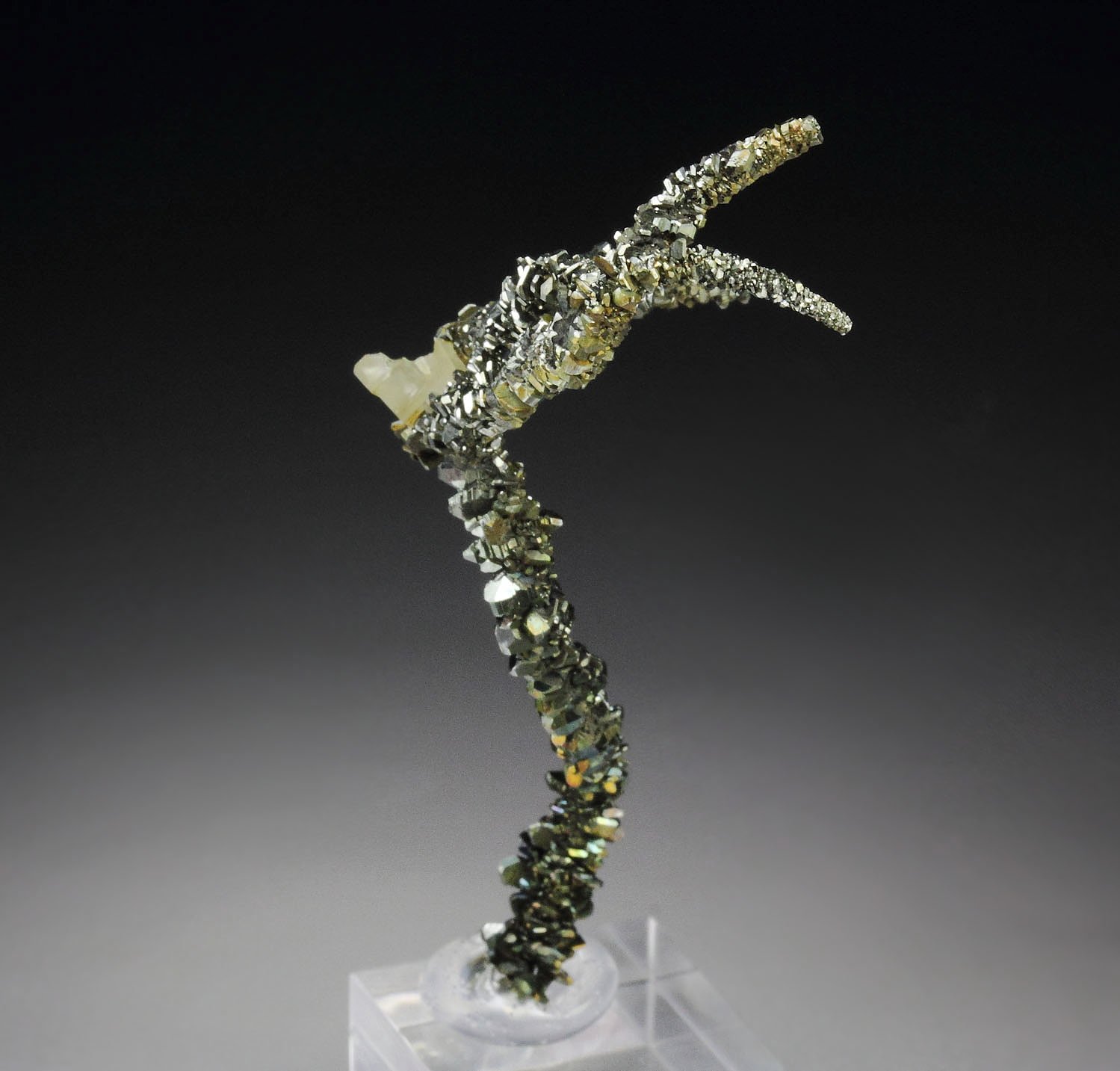 bent MARCASITE stalactite, CALCITE