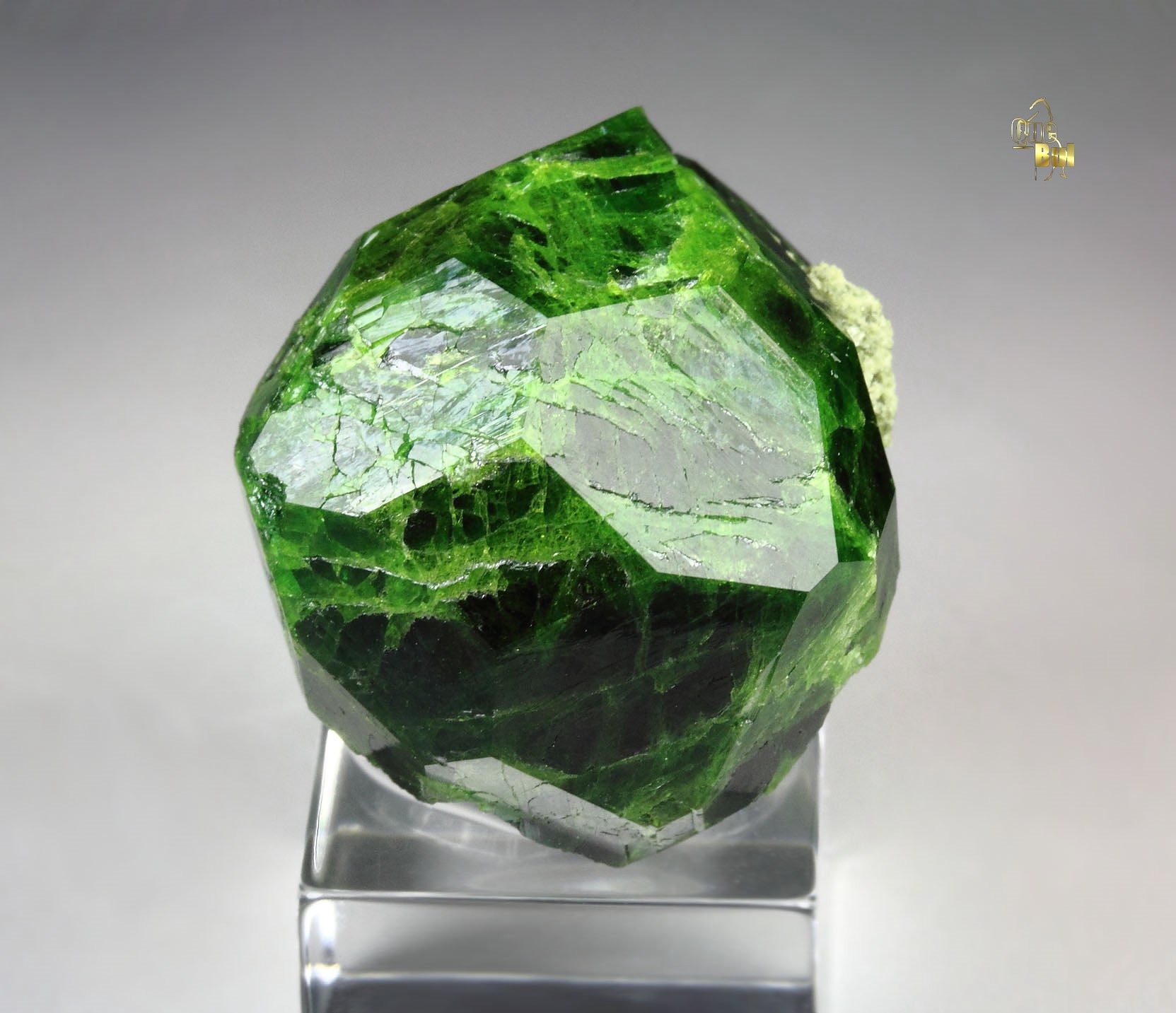 GARNET var. ANDRADITE var. DEMANTOID