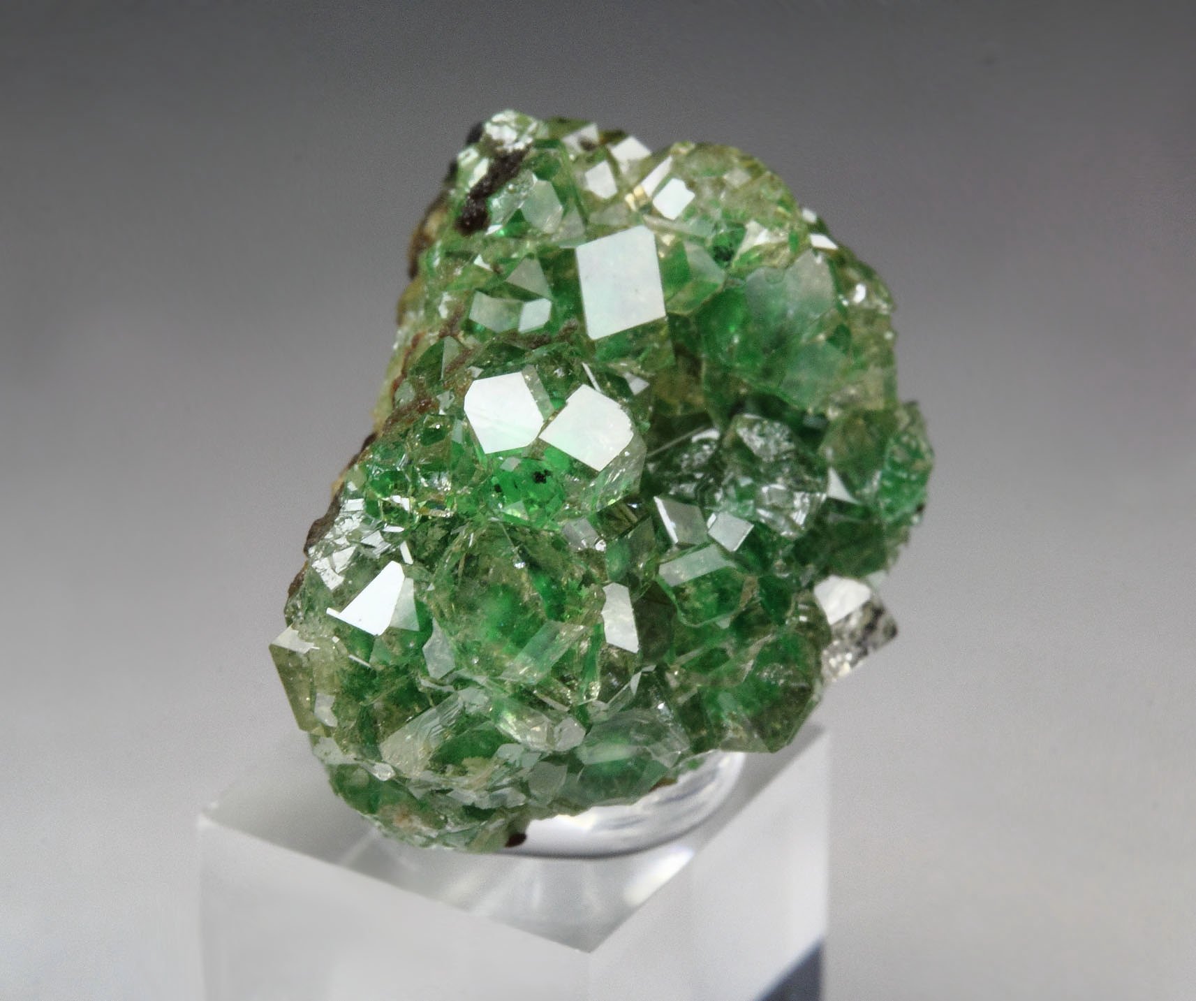 gem GARNET var. GROSSULAR with GREEN CHROMIAN PHANTOMS