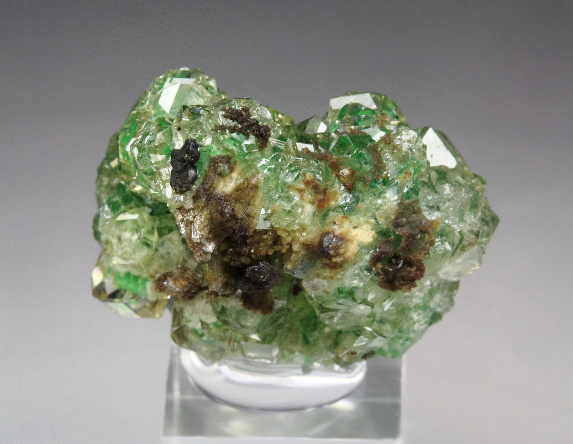 gem GARNET var. GROSSULAR with GREEN CHROMIAN PHANTOMS