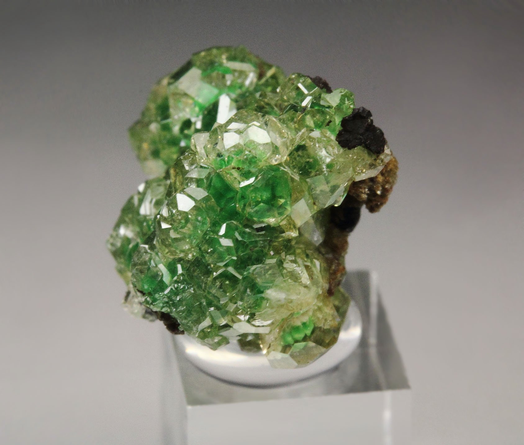 gem GARNET var. GROSSULAR with GREEN CHROMIAN PHANTOMS