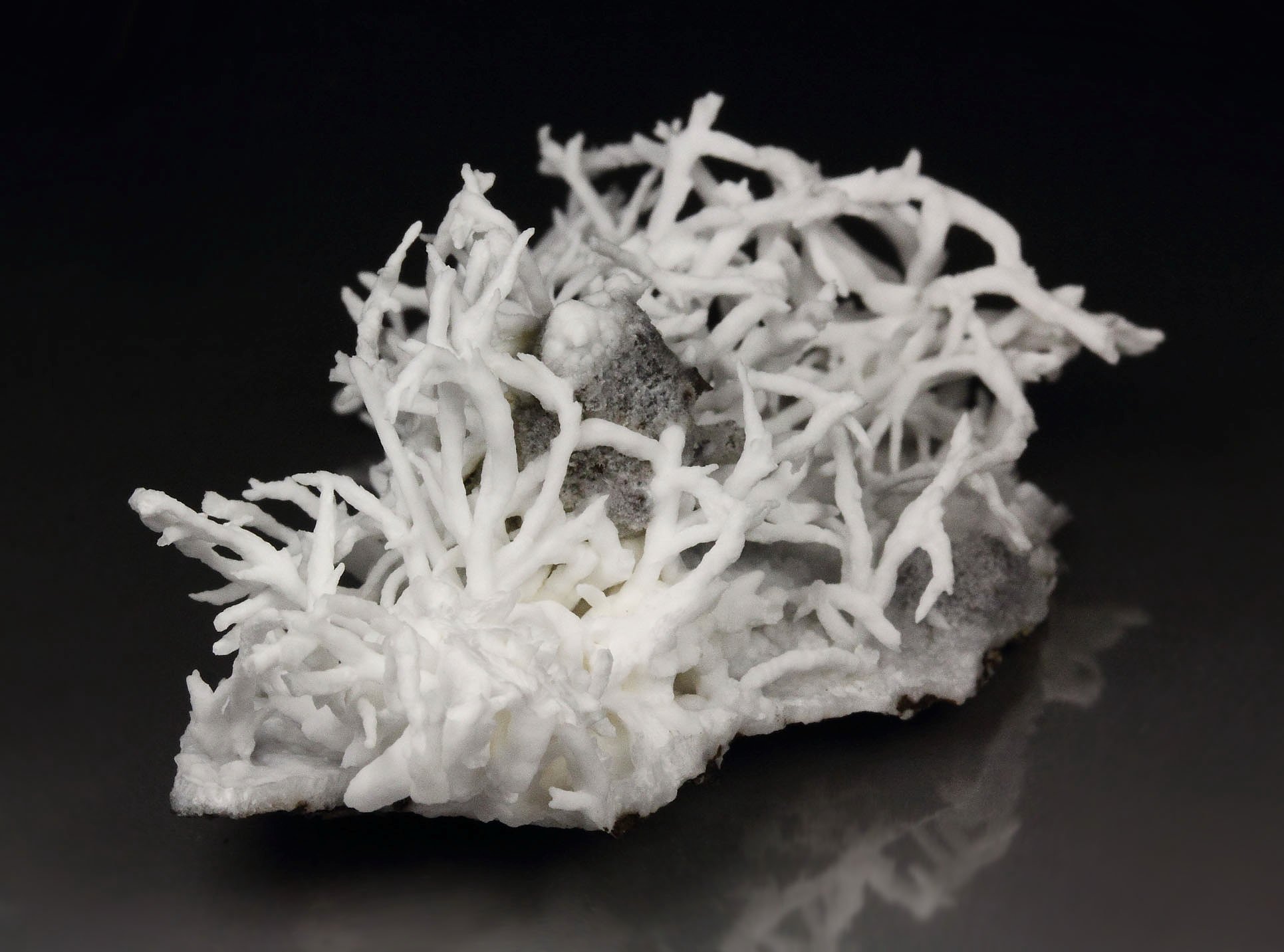 ARAGONITE var. FLOS FERRI