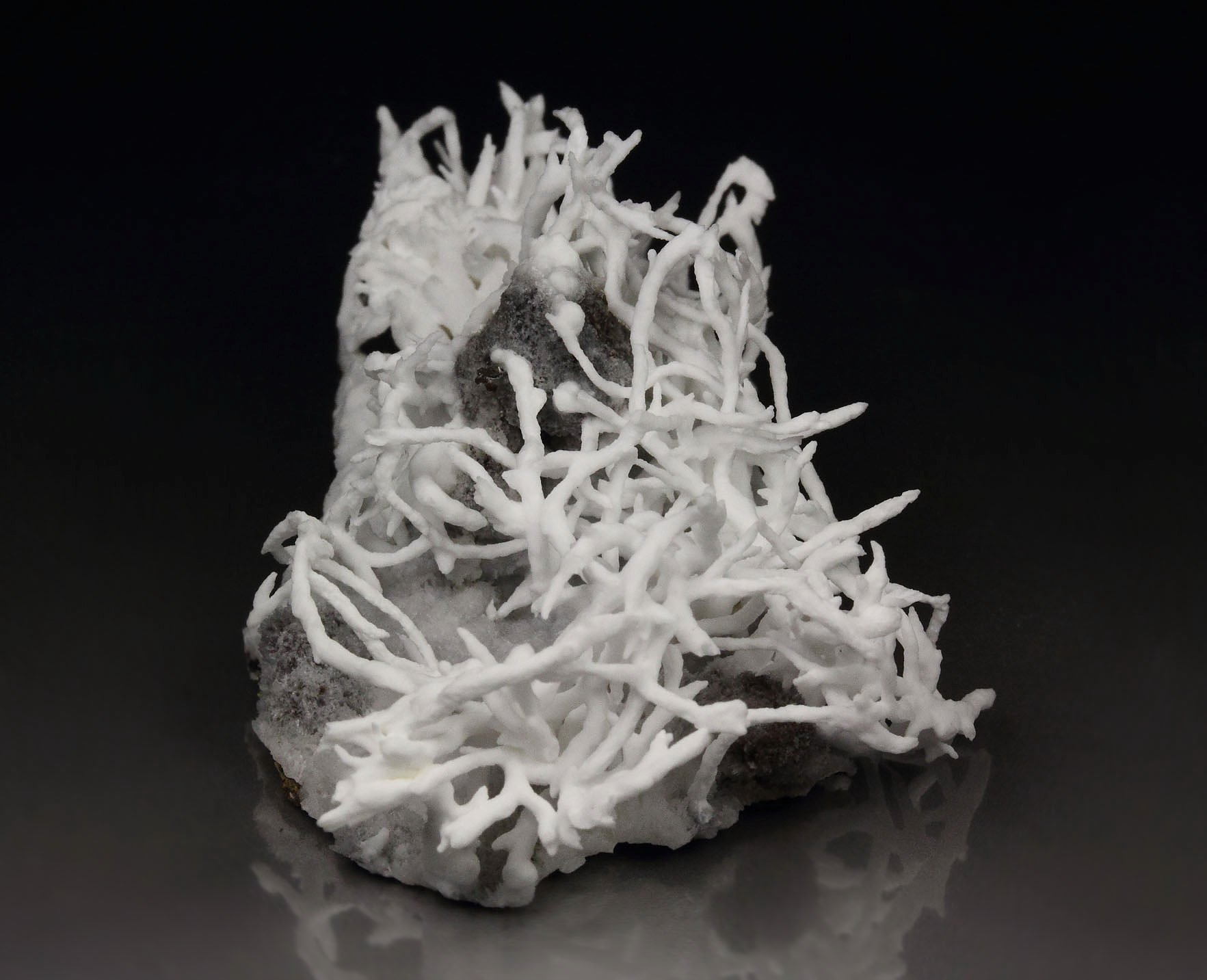 ARAGONITE var. FLOS FERRI