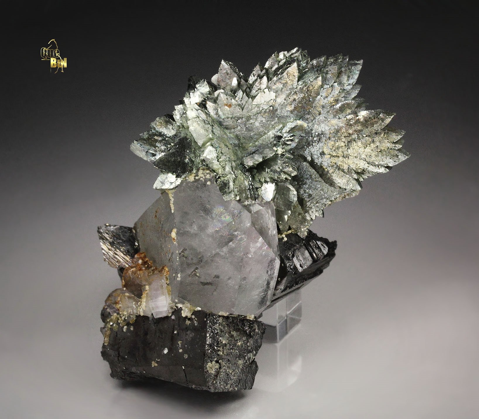 ARSENOPYRITE, FERBERITE, QUARTZ, FLUORAPATITE, SIDERITE