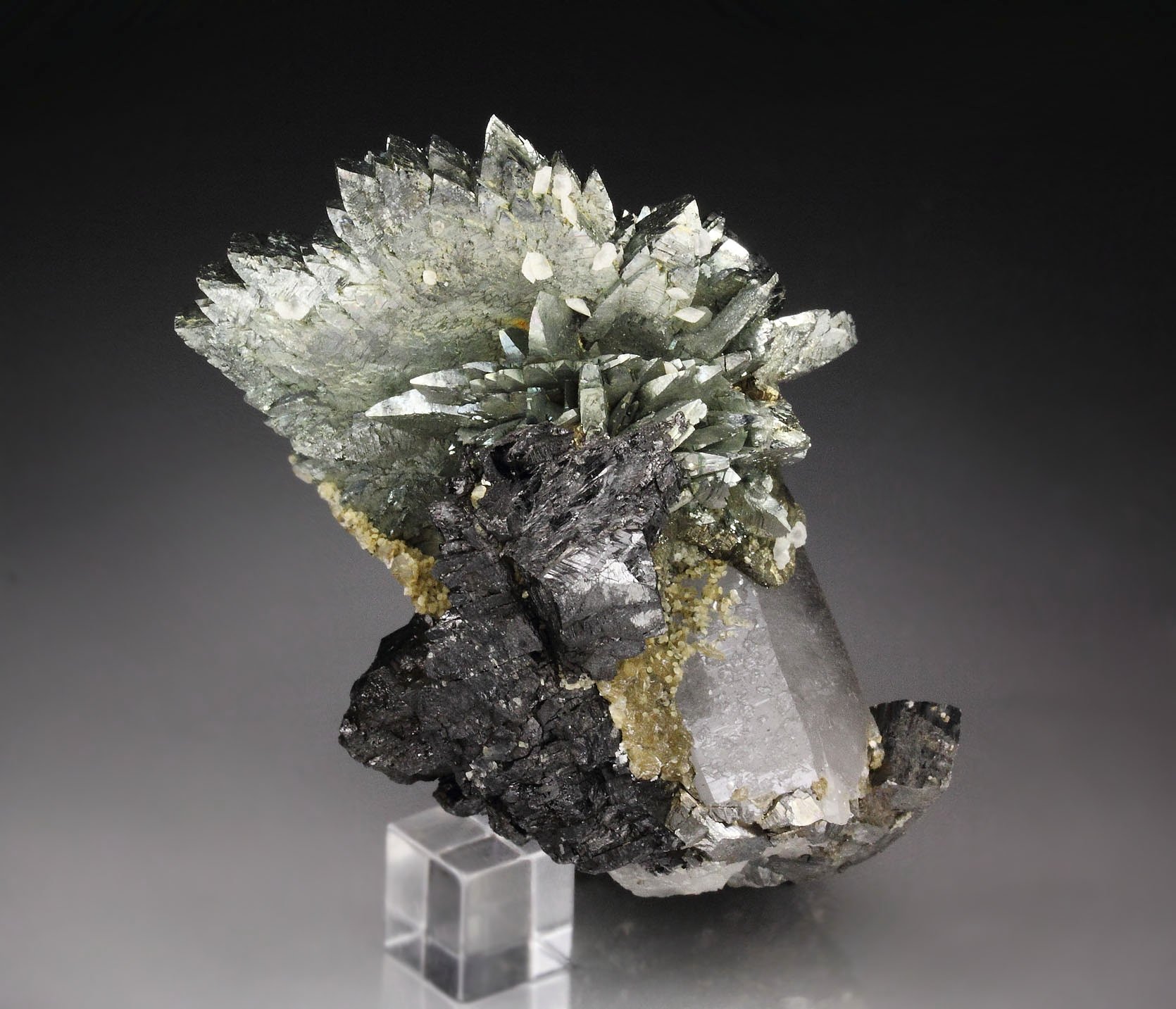 ARSENOPYRITE, FERBERITE, QUARTZ, FLUORAPATITE, SIDERITE