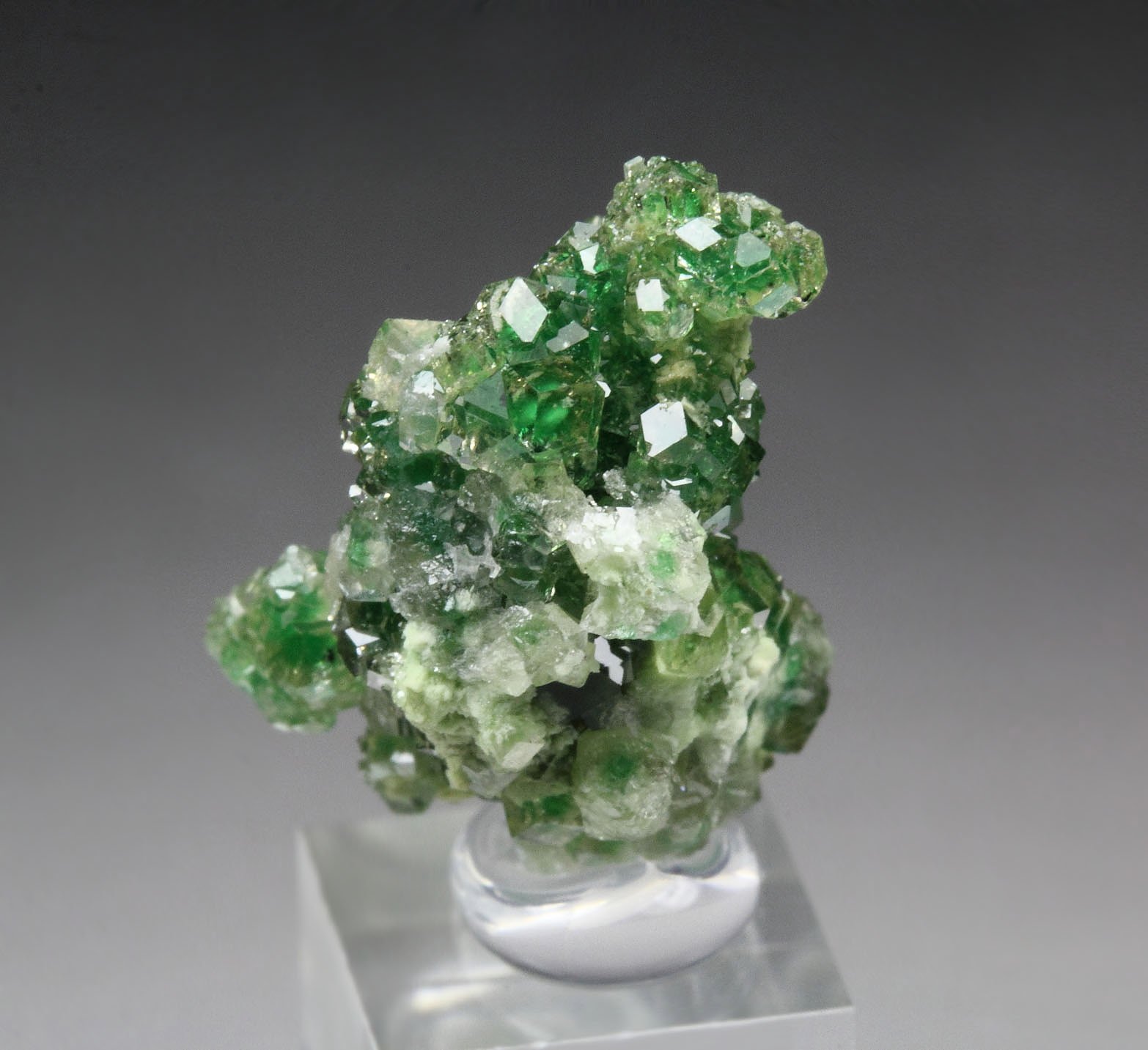 gem GARNET var. GROSSULAR with GREEN CHROMIAN PHANTOMS, CHROMITE