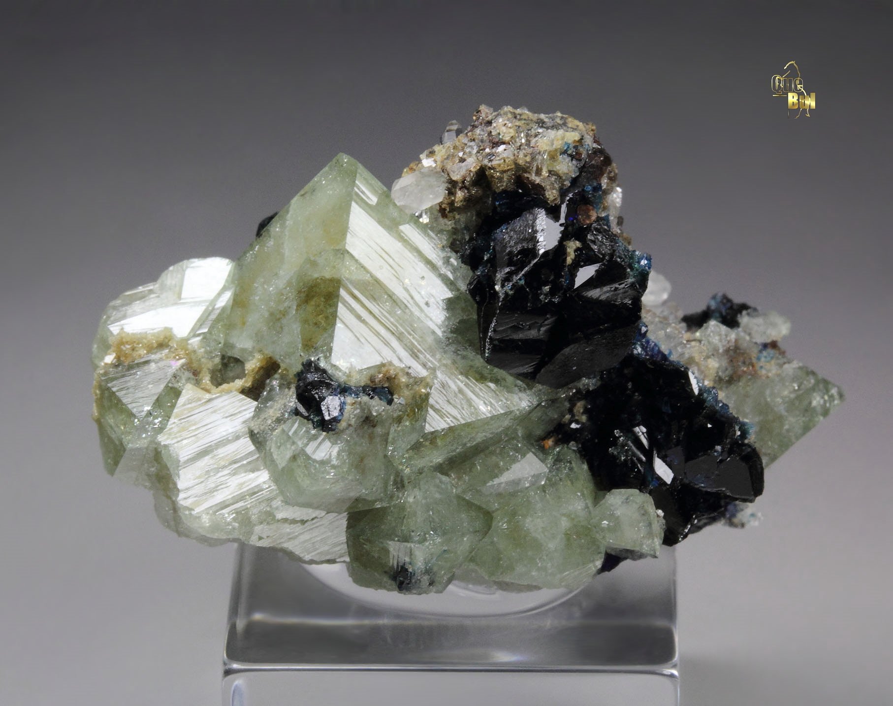 WARDITE, LAZULITE, QUARTZ