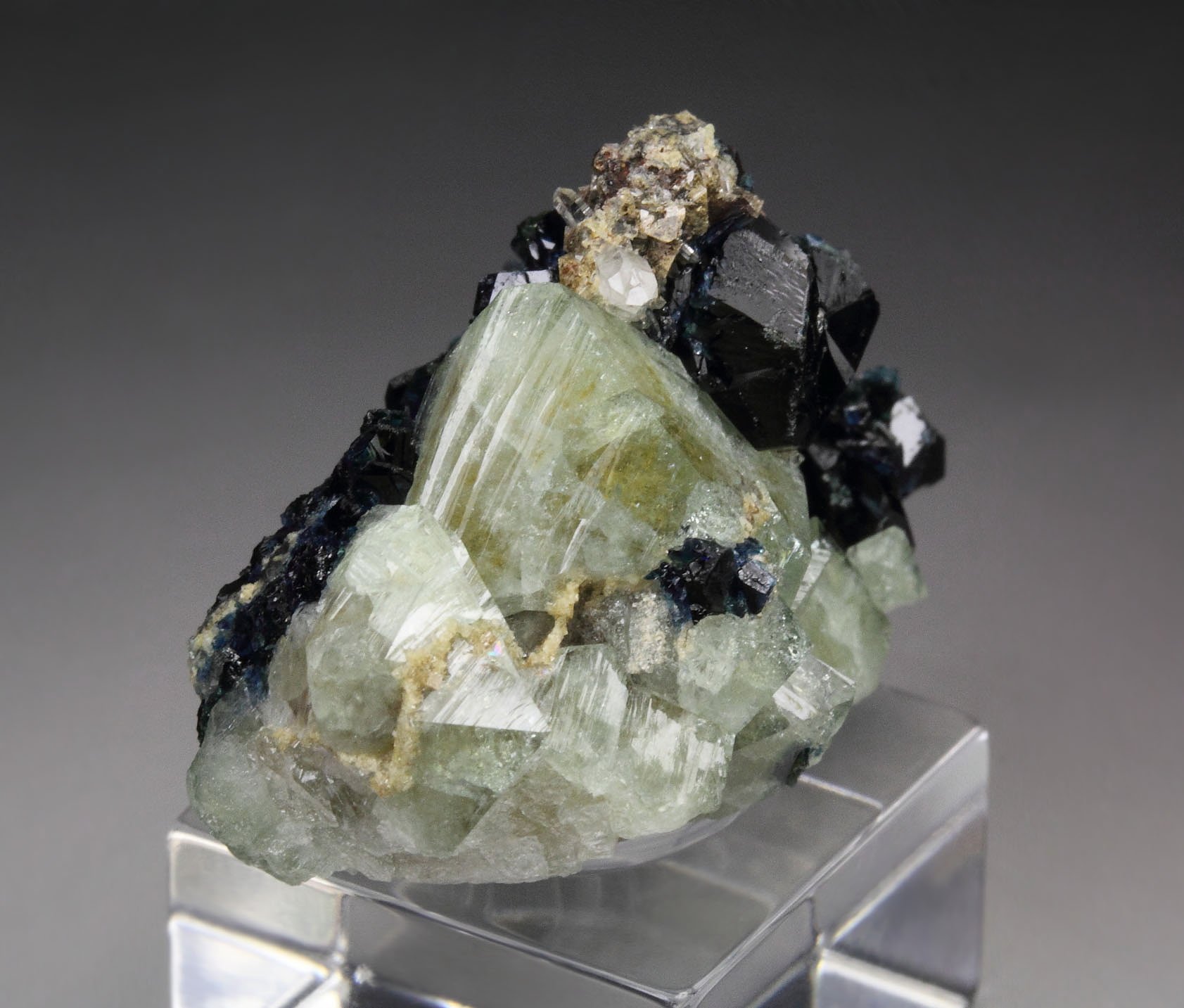 WARDITE, LAZULITE, QUARTZ