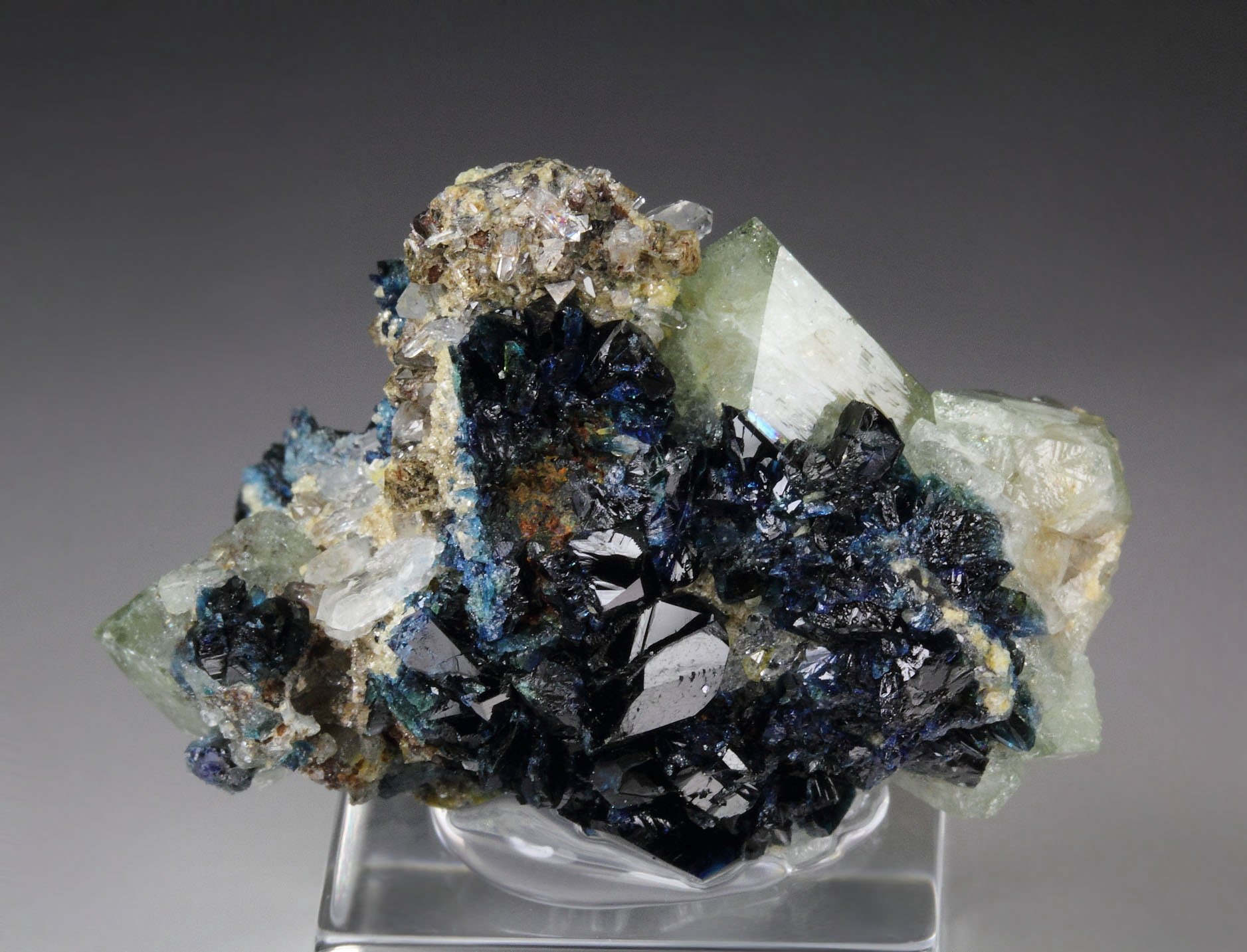 WARDITE, LAZULITE, QUARTZ