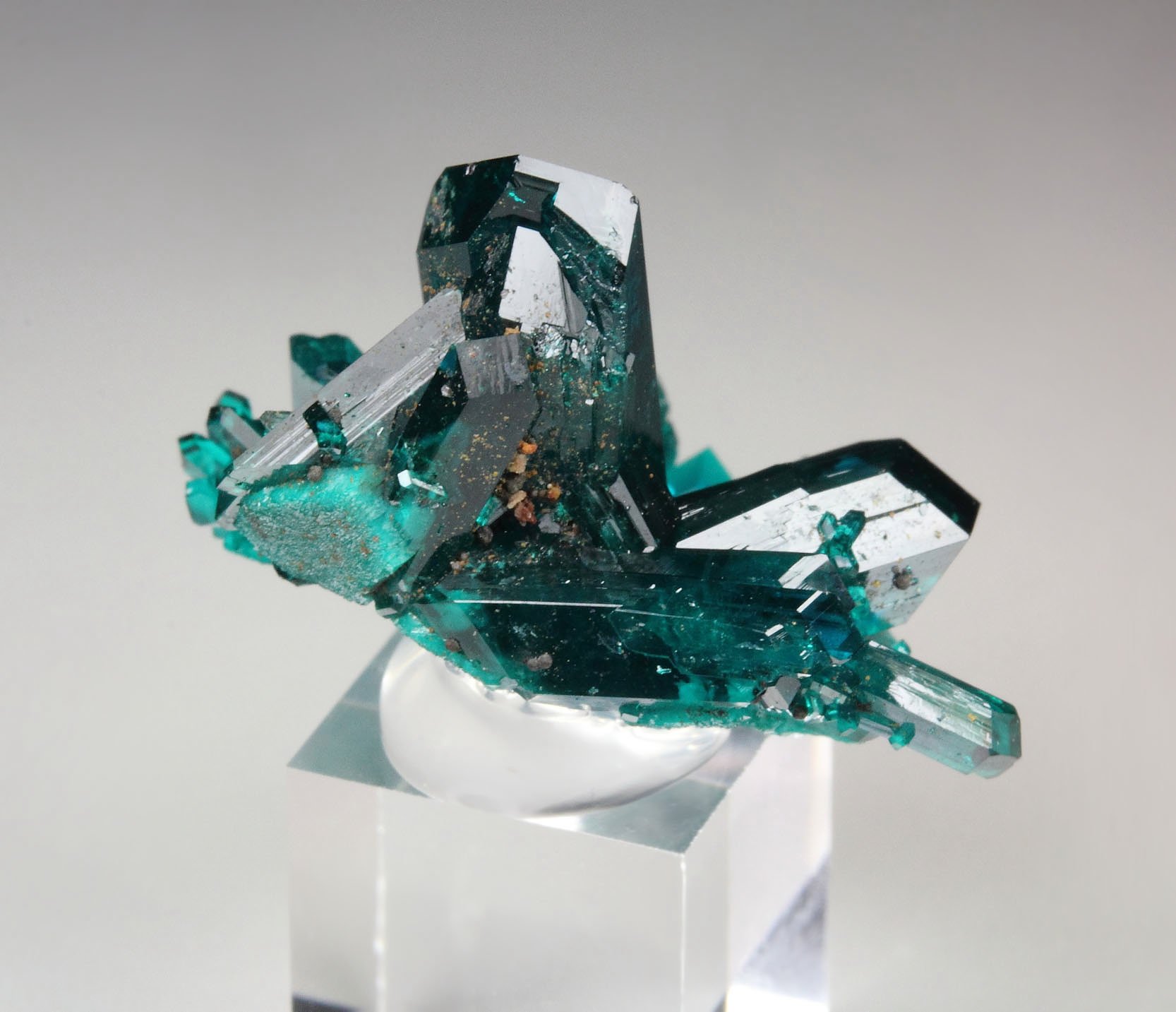 new find - DIOPTASE 