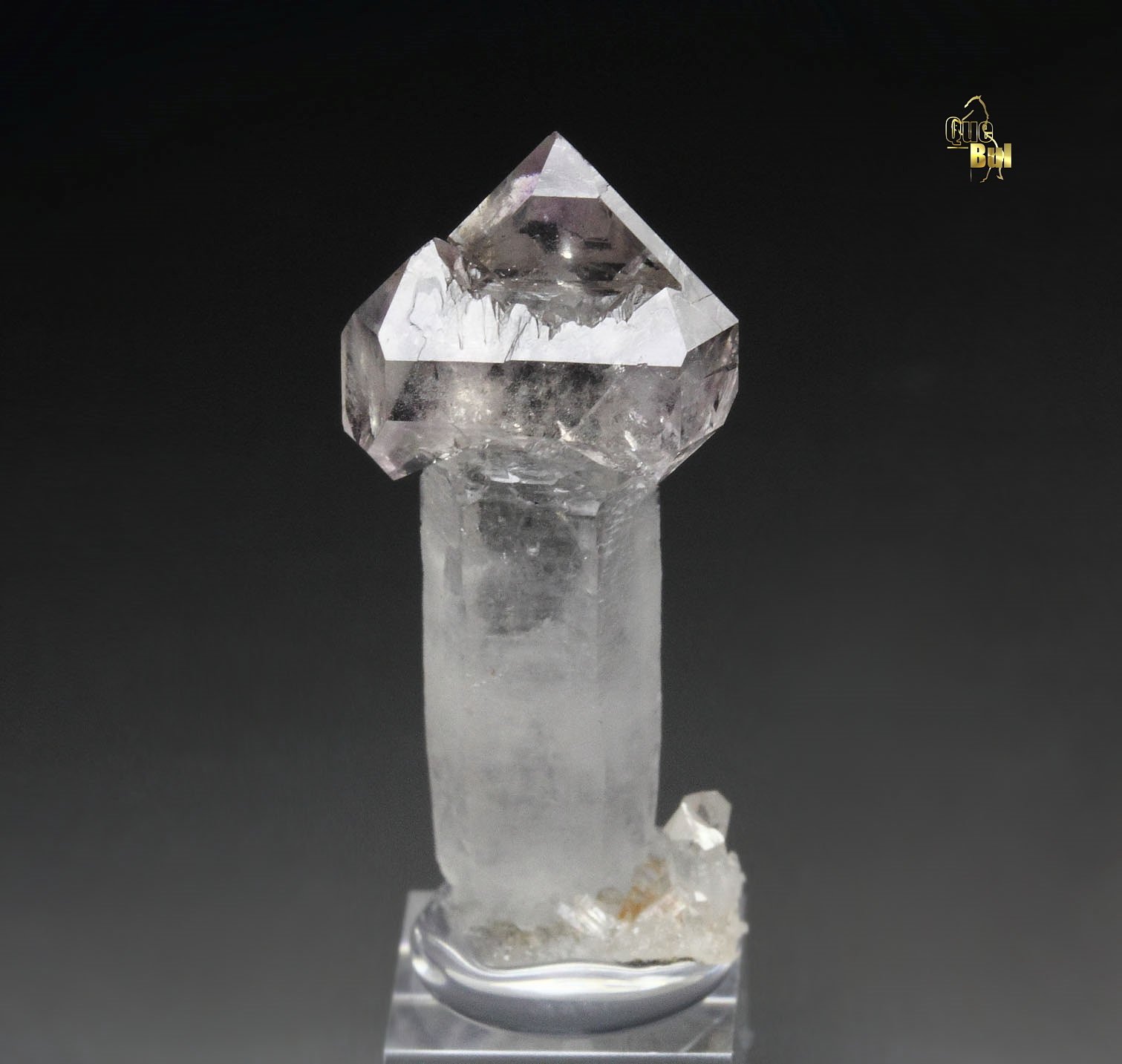 scepter QUARTZ