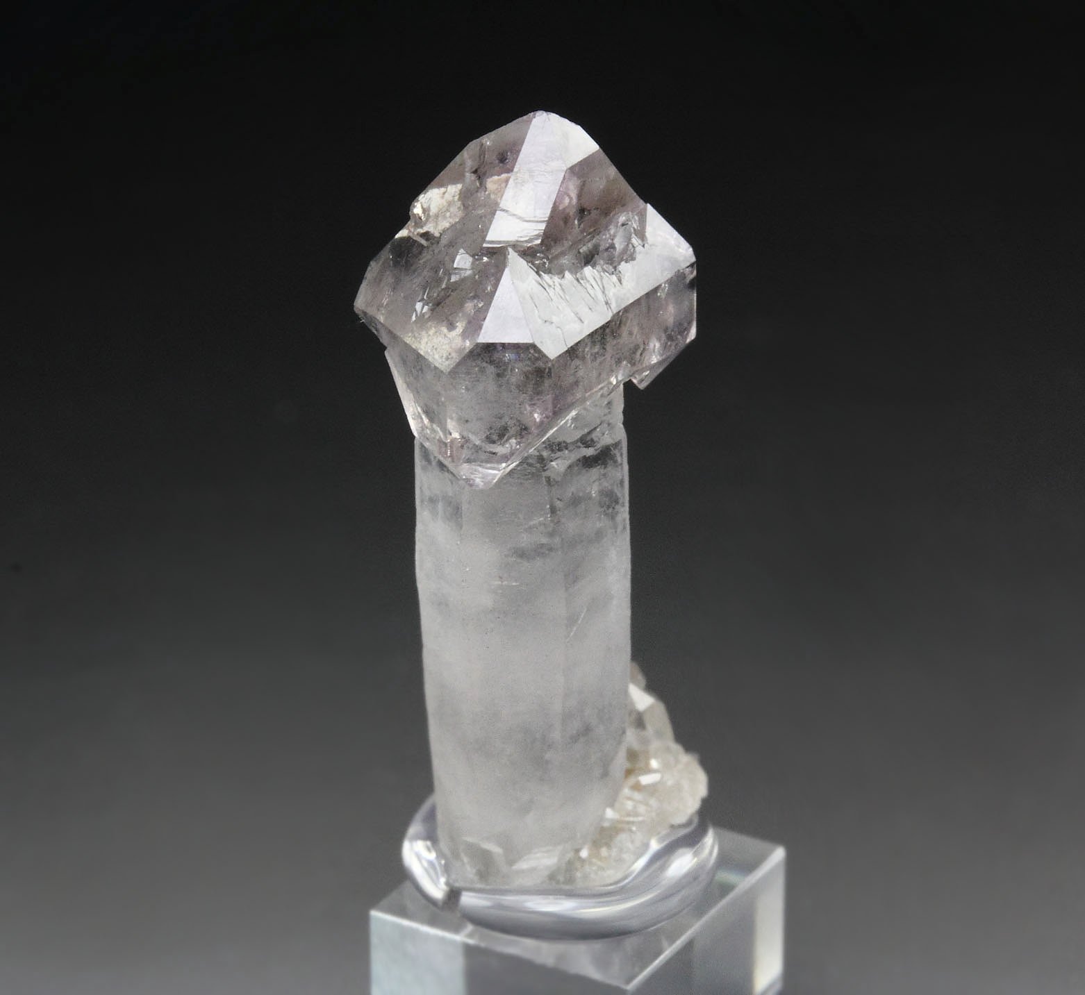 scepter QUARTZ