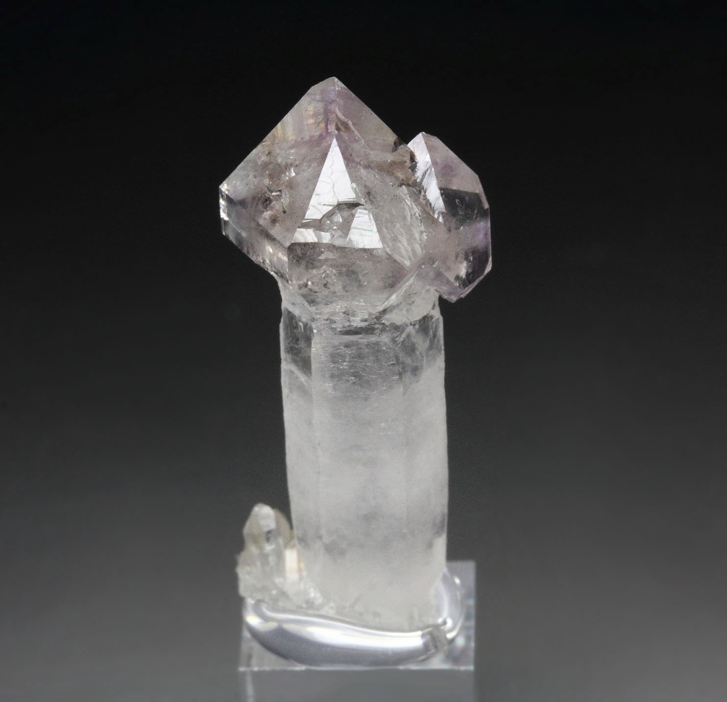 scepter QUARTZ