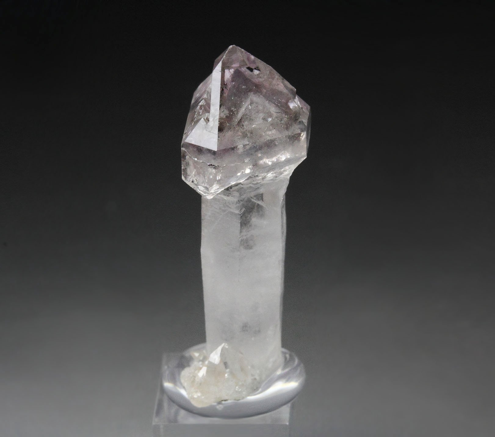 scepter QUARTZ