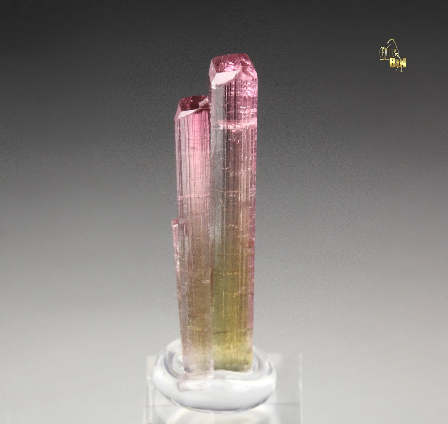 gem TOURMALINE var. ELBAITE bi-color