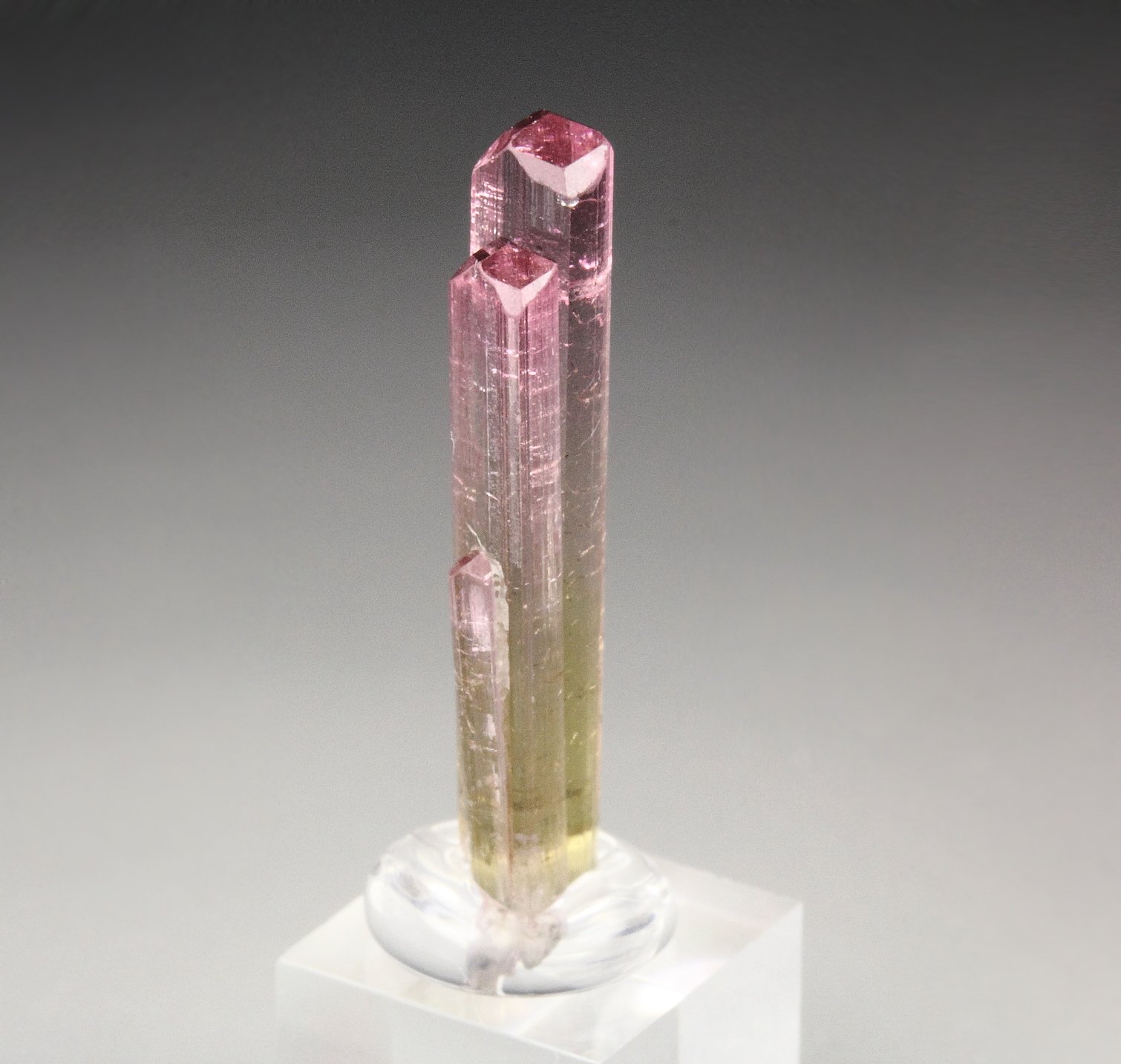 gem TOURMALINE var. ELBAITE bi-color