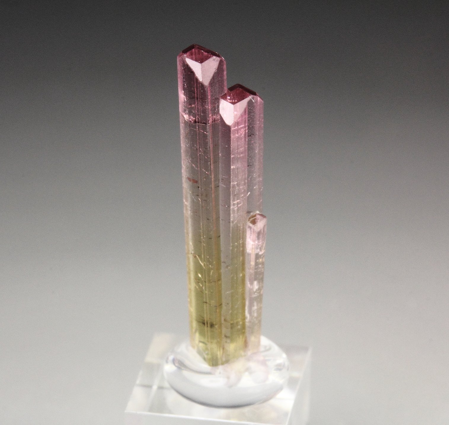 gem TOURMALINE var. ELBAITE bi-color