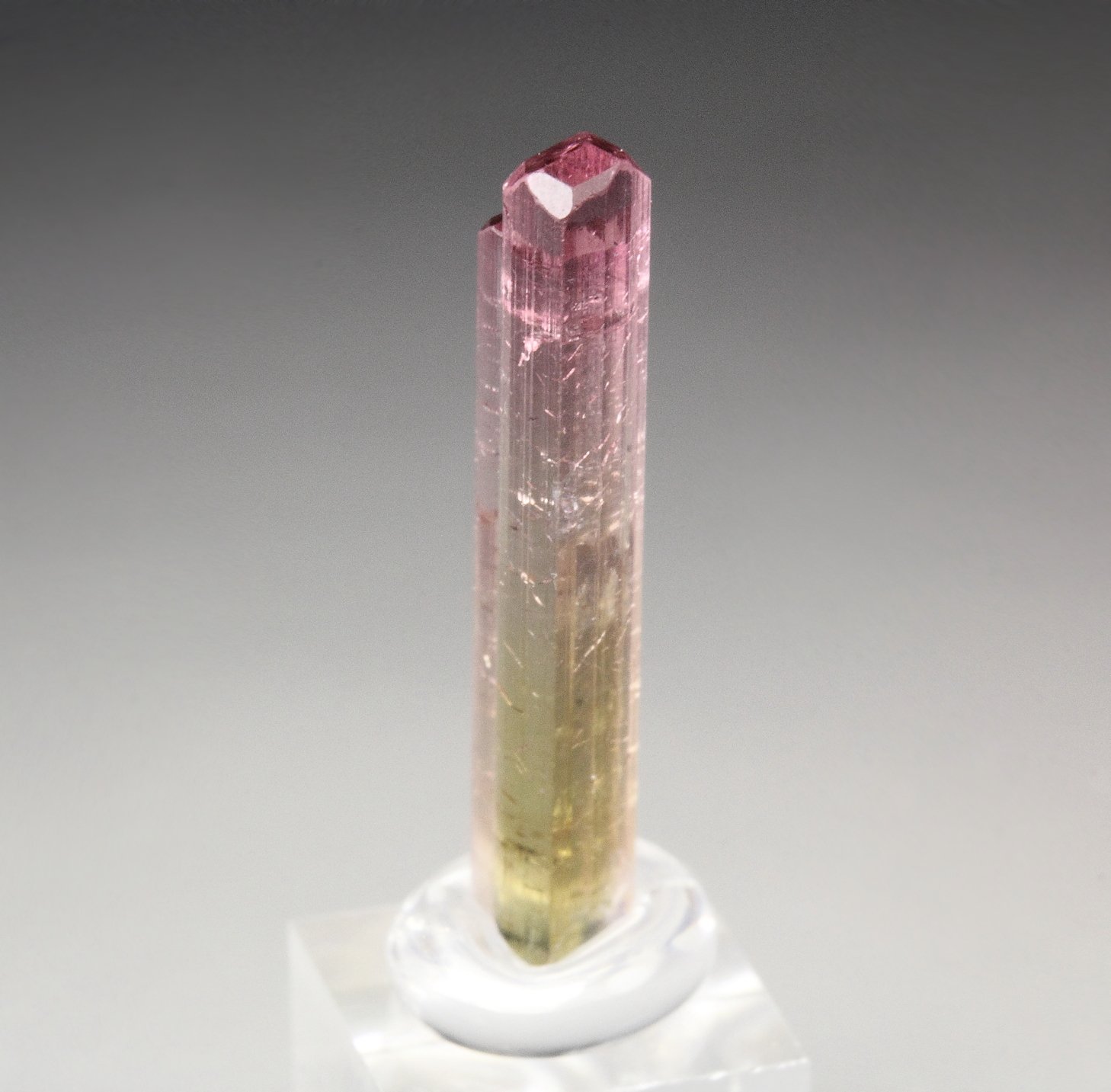 gem TOURMALINE var. ELBAITE bi-color