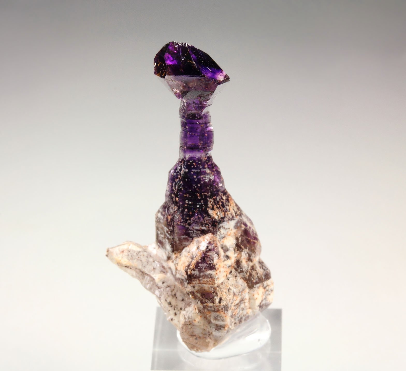 scepter QUARTZ var. AMETHYST