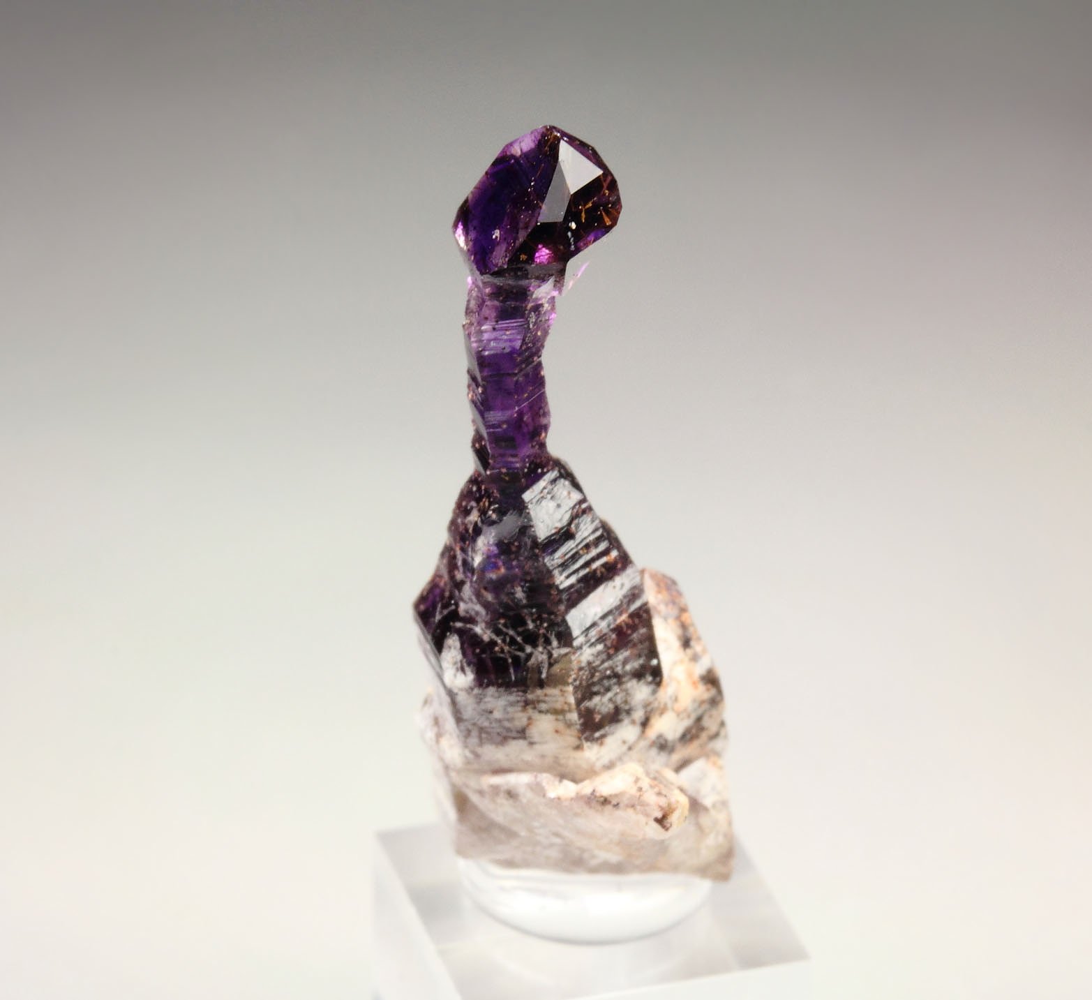 scepter QUARTZ var. AMETHYST