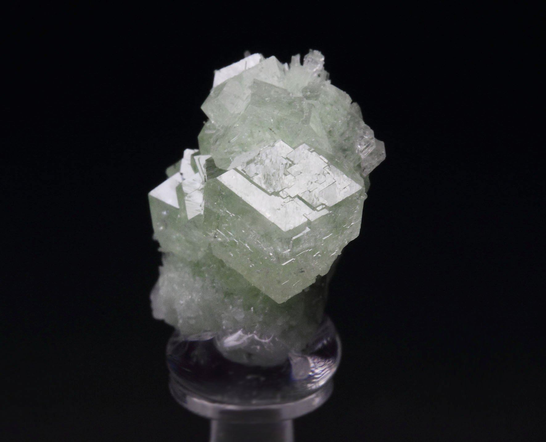 colorless gem GARNET var. GROSSULAR, DIOPSIDE