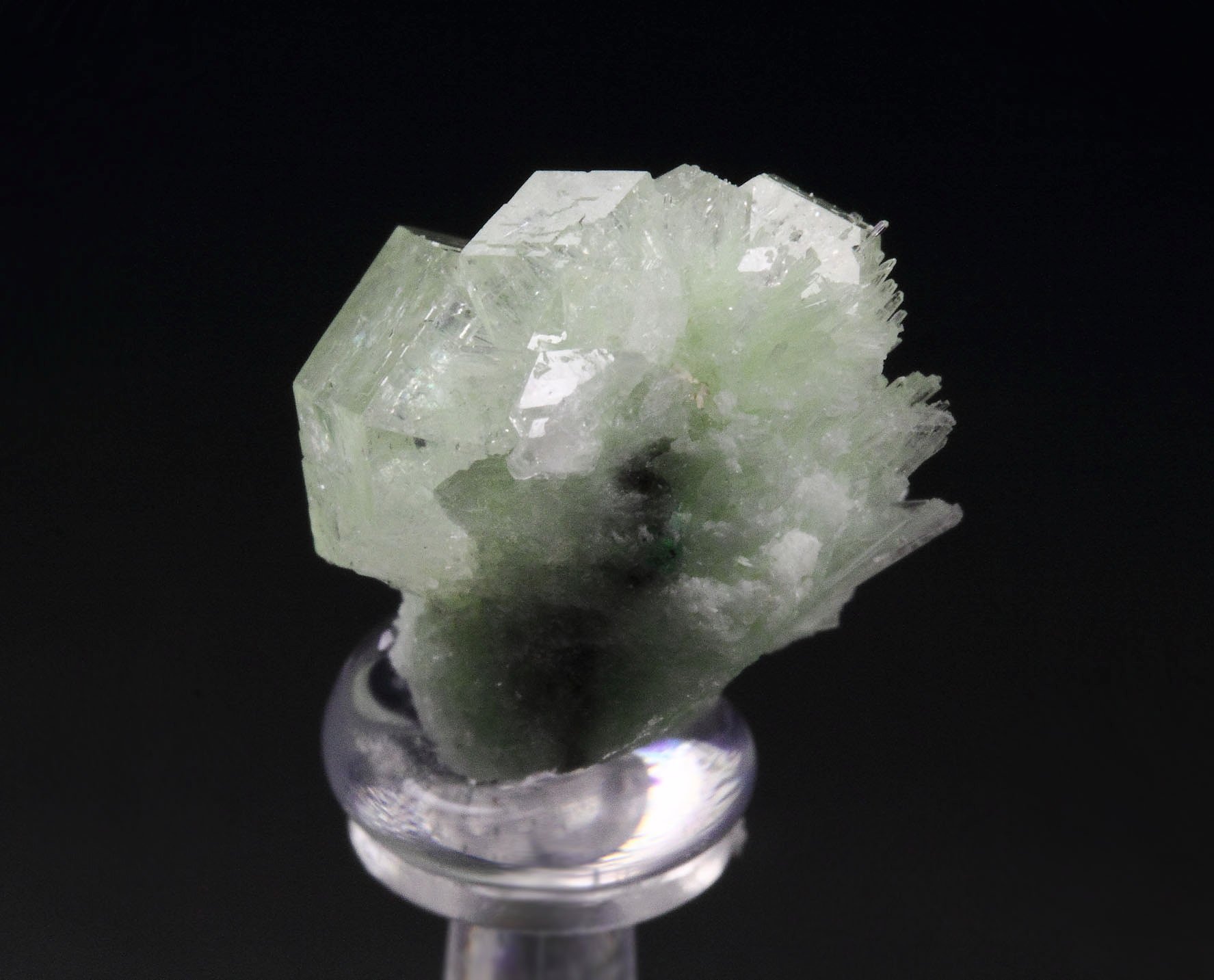 colorless gem GARNET var. GROSSULAR, DIOPSIDE