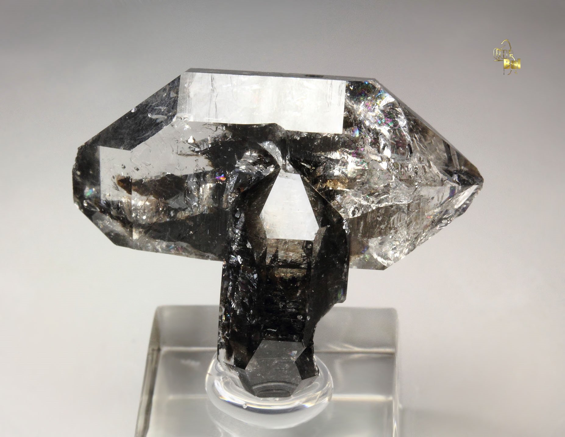 bi-terminated QUARTZ with bitumen inclusions