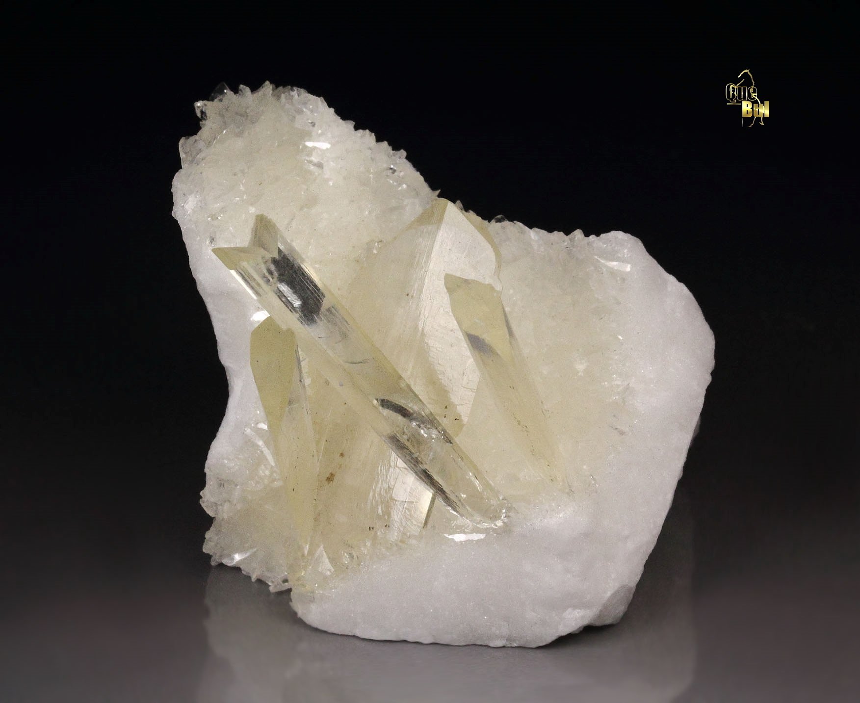 twinned GYPSUM var. SELENITE