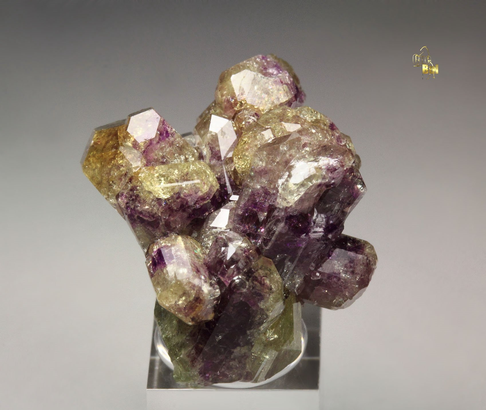 VESUVIANITE bi-color