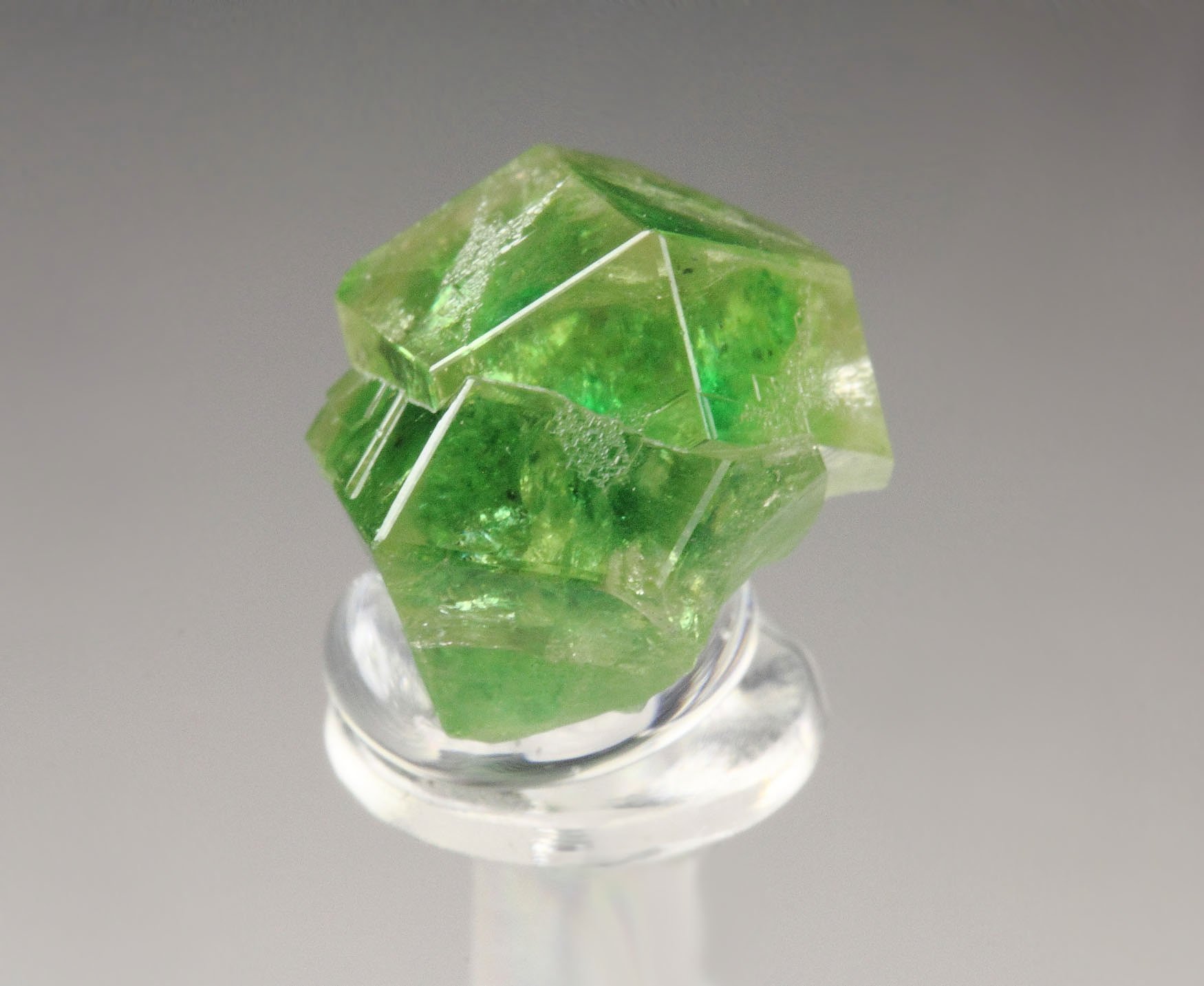 gem GARNET var. GROSSULAR with GREEN CHROMIAN PHANTOMS