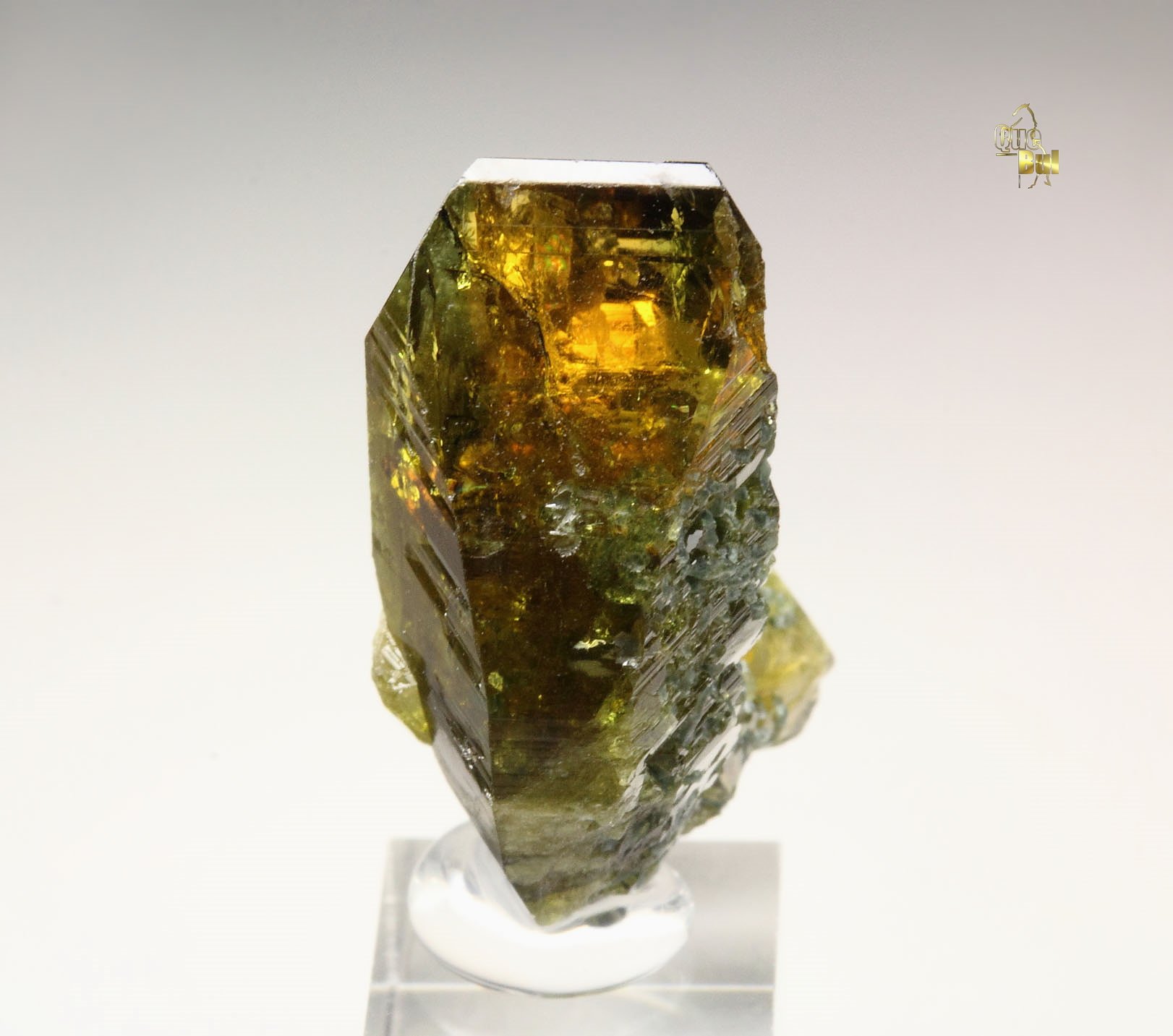 gem EPIDOTE, CLINOCHLORE