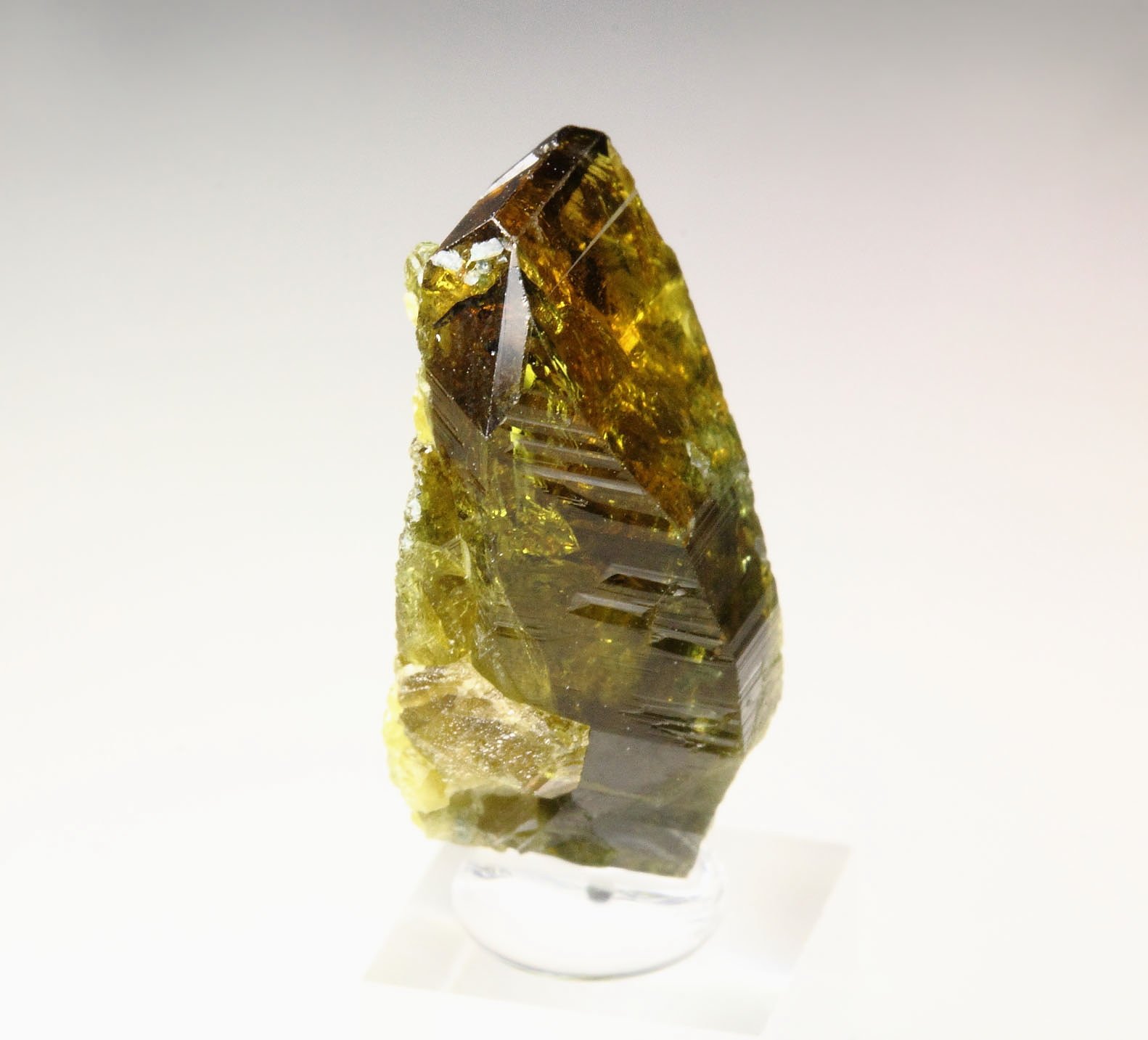 gem EPIDOTE, CLINOCHLORE