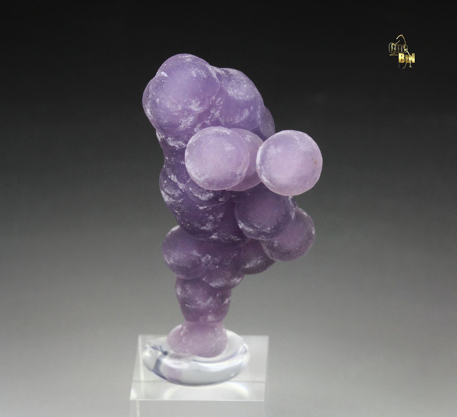 QUARTZ var. AMETHYST - grape agate