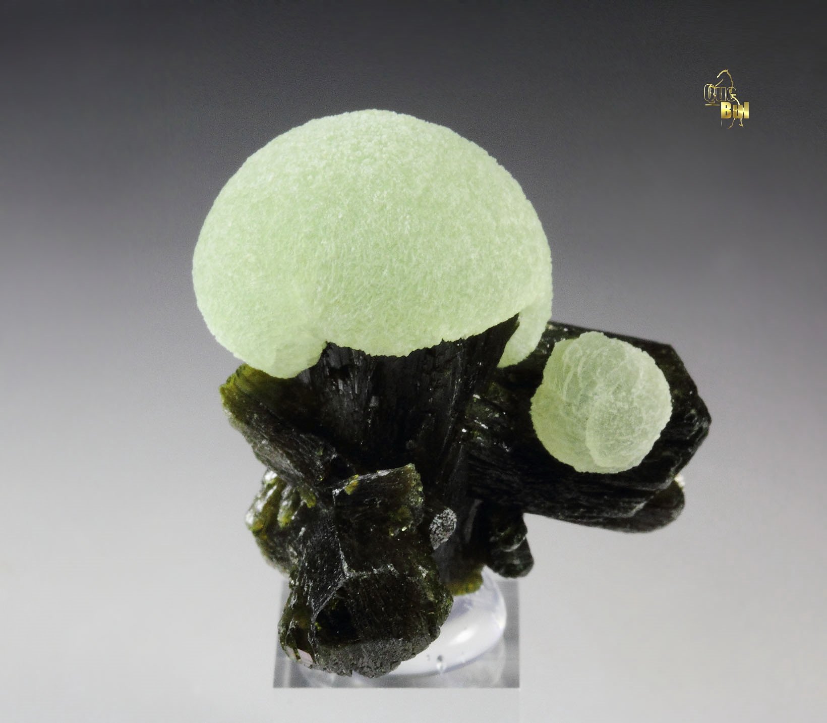 PREHNITE, EPIDOTE