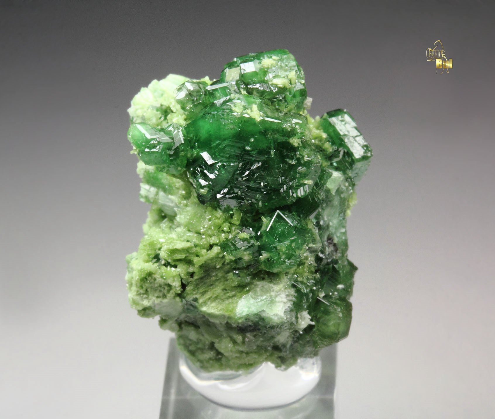 gem GARNET var. GROSSULAR var. CHROMIAN, DIOPSIDE