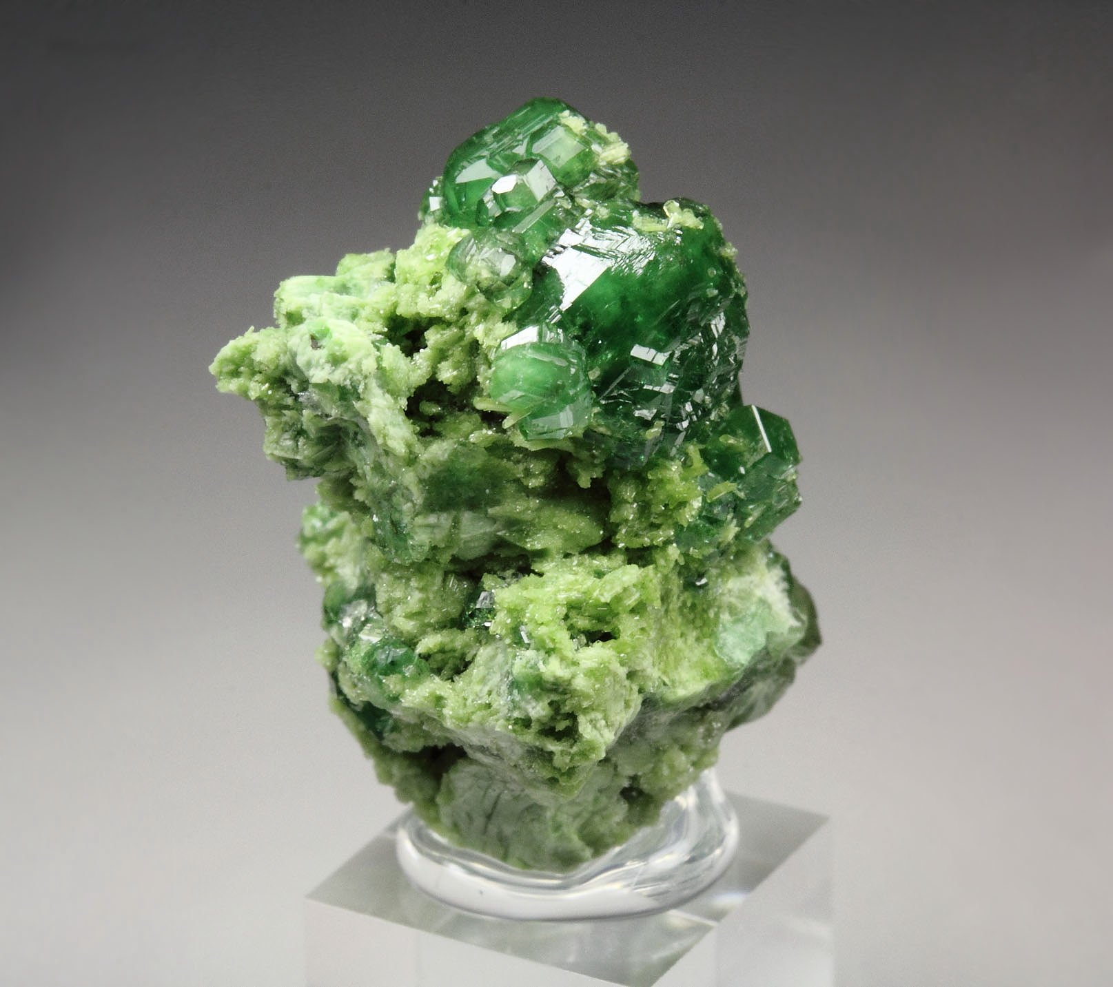 gem GARNET var. GROSSULAR var. CHROMIAN, DIOPSIDE